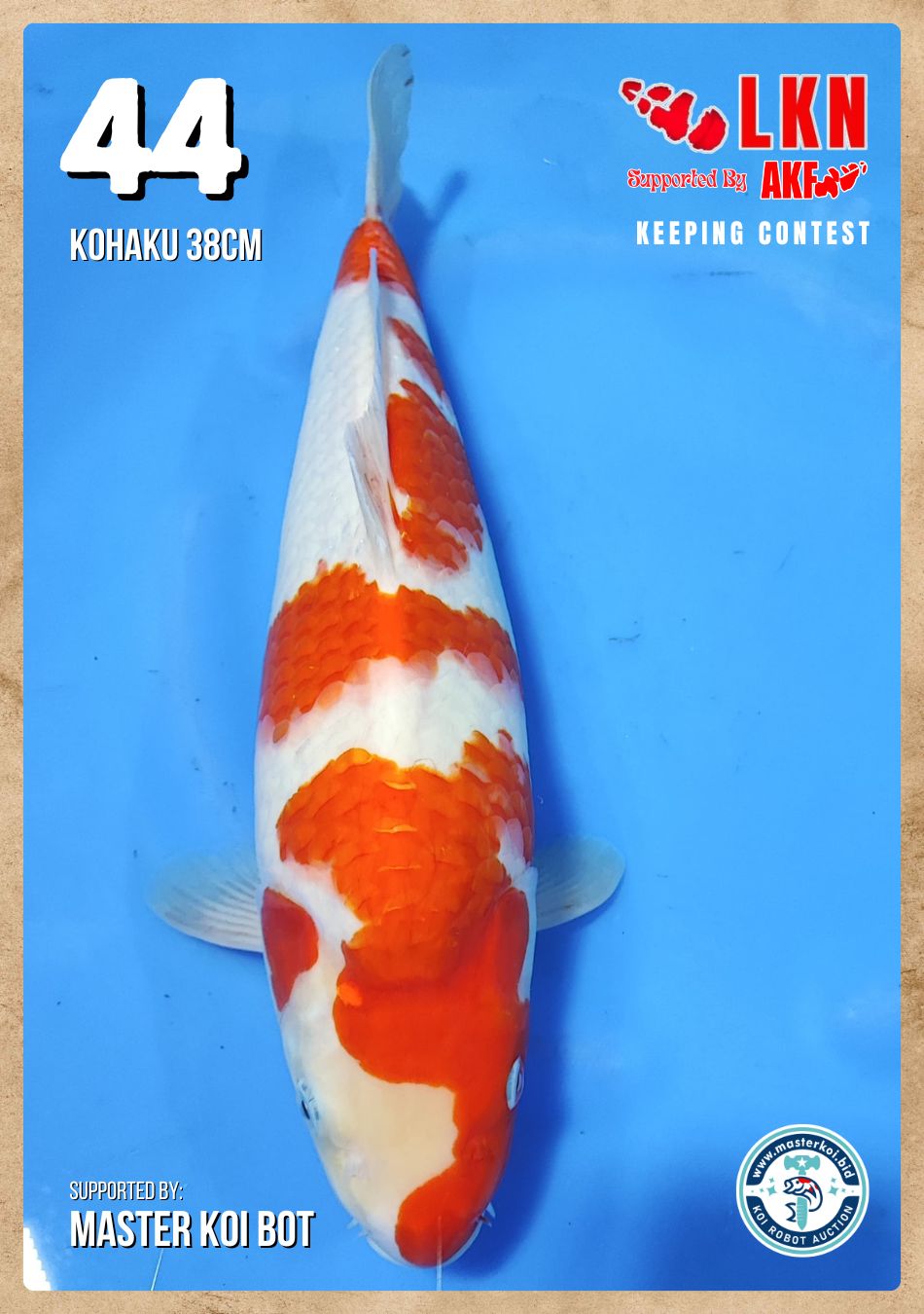 Lelang Koi Online, Jual Beli Ikan Koi, Pusat Jual Beli Koi, Info Lelang Koi Hari Ini, Platform Jual Beli Koi, Jual Beli Ikan Koi Online, Marketplace Ikan Koi, Jual Koi Terbaik, Tempat Beli Koi Berkualitas, Pasar Ikan Koi Online Terpercaya, Penjual Ikan Koi Terpercaya, Beli Koi Hias Online, Ikan Koi untuk Dijual, Koi Kualitas Terbaik, Toko Online Ikan Koi, Koi Hias Untuk Dijual, Jual Beli Ikan Koi Lokal, Koi Indonesia Online, Pusat Jual Beli Koi Terbesar