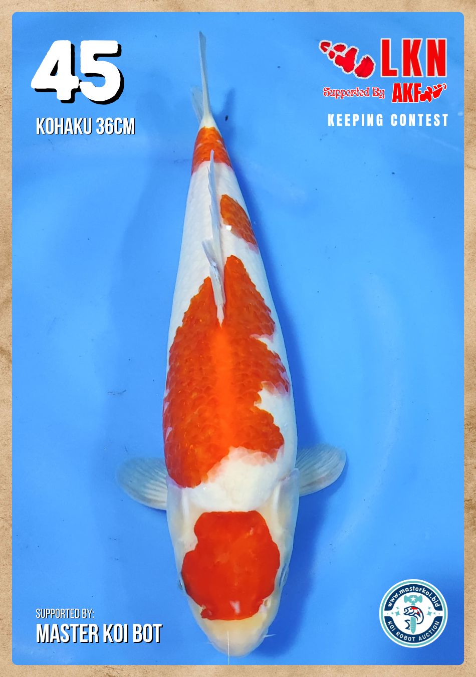 Lelang Koi Online, Jual Beli Ikan Koi, Pusat Jual Beli Koi, Info Lelang Koi Hari Ini, Platform Jual Beli Koi, Jual Beli Ikan Koi Online, Marketplace Ikan Koi, Jual Koi Terbaik, Tempat Beli Koi Berkualitas, Pasar Ikan Koi Online Terpercaya, Penjual Ikan Koi Terpercaya, Beli Koi Hias Online, Ikan Koi untuk Dijual, Koi Kualitas Terbaik, Toko Online Ikan Koi, Koi Hias Untuk Dijual, Jual Beli Ikan Koi Lokal, Koi Indonesia Online, Pusat Jual Beli Koi Terbesar