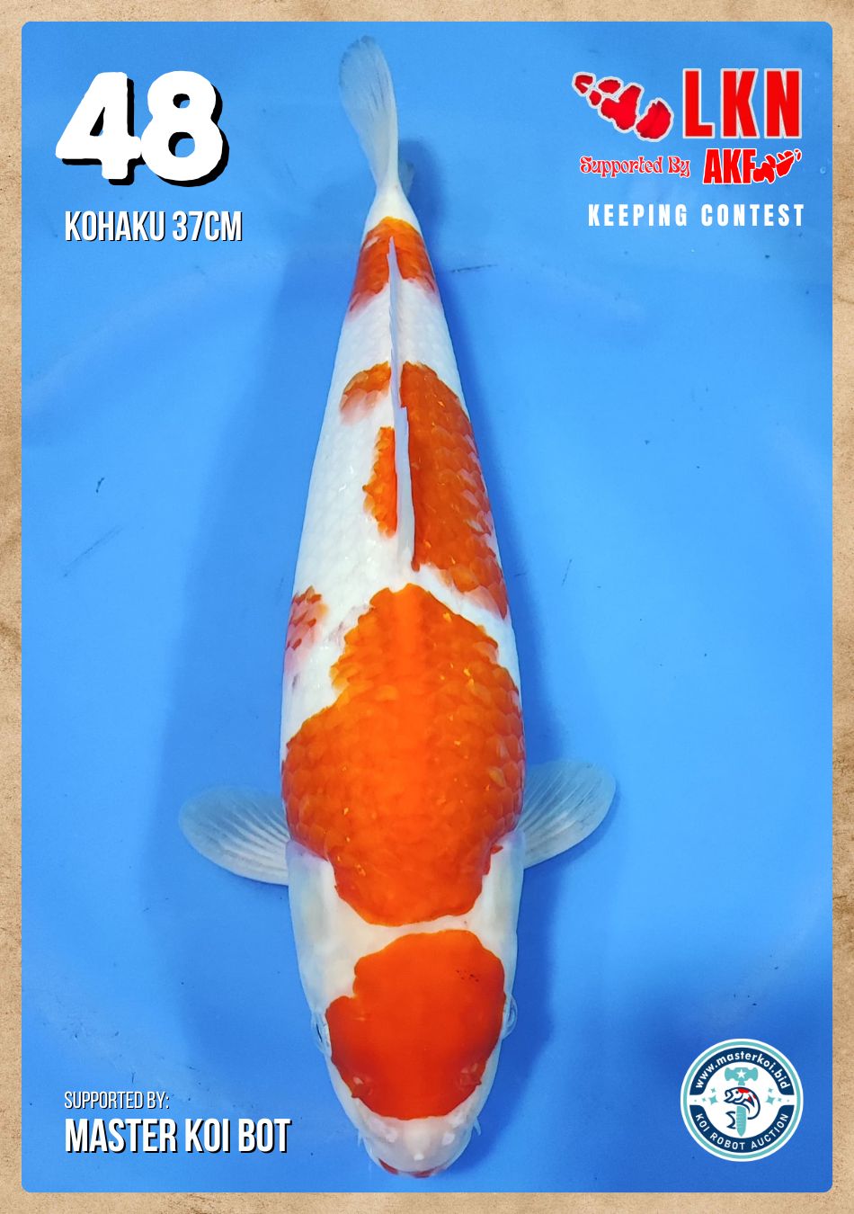 Lelang Koi Online, Jual Beli Ikan Koi, Pusat Jual Beli Koi, Info Lelang Koi Hari Ini, Platform Jual Beli Koi, Jual Beli Ikan Koi Online, Marketplace Ikan Koi, Jual Koi Terbaik, Tempat Beli Koi Berkualitas, Pasar Ikan Koi Online Terpercaya, Penjual Ikan Koi Terpercaya, Beli Koi Hias Online, Ikan Koi untuk Dijual, Koi Kualitas Terbaik, Toko Online Ikan Koi, Koi Hias Untuk Dijual, Jual Beli Ikan Koi Lokal, Koi Indonesia Online, Pusat Jual Beli Koi Terbesar