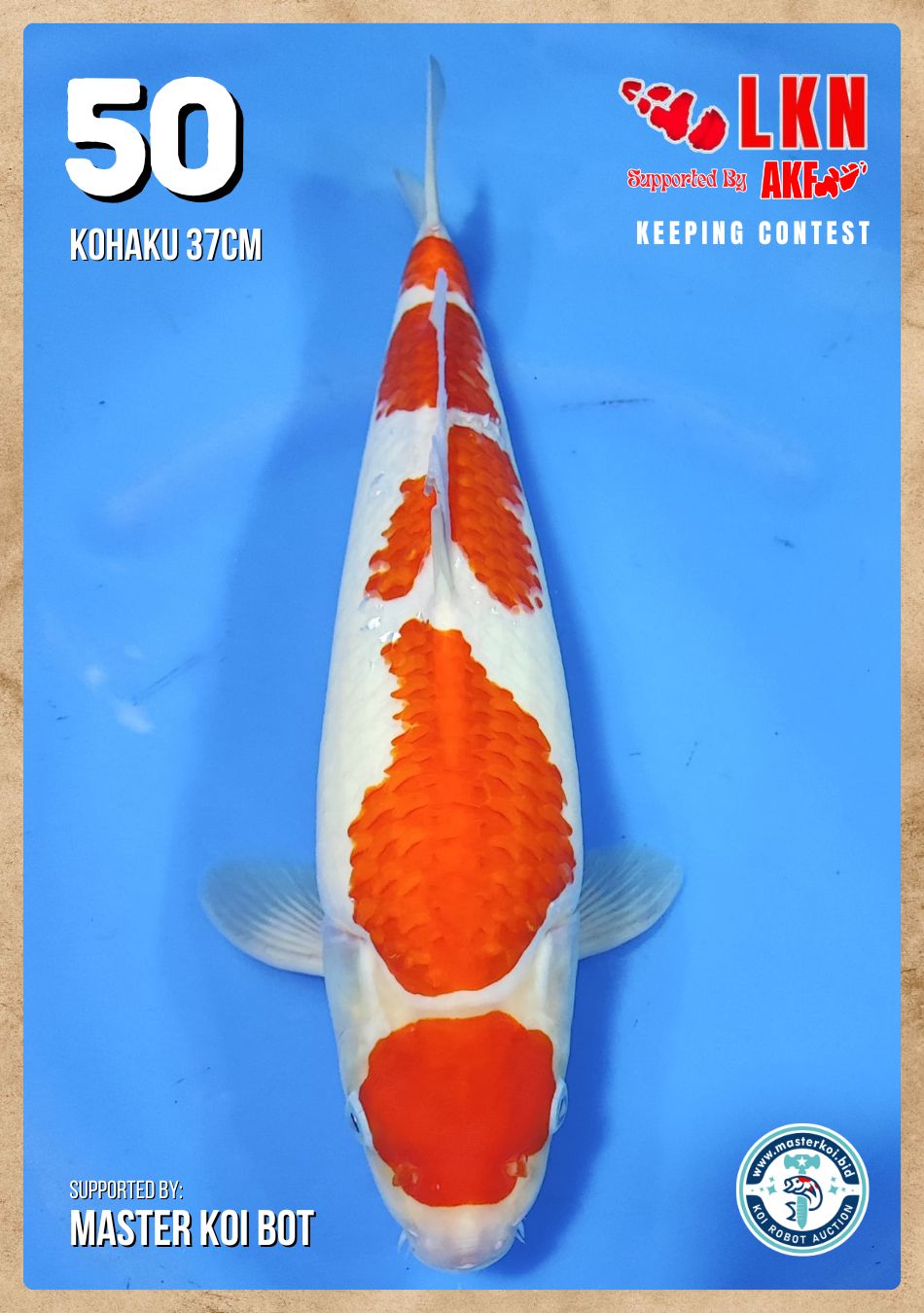 Lelang Koi Online, Jual Beli Ikan Koi, Pusat Jual Beli Koi, Info Lelang Koi Hari Ini, Platform Jual Beli Koi, Jual Beli Ikan Koi Online, Marketplace Ikan Koi, Jual Koi Terbaik, Tempat Beli Koi Berkualitas, Pasar Ikan Koi Online Terpercaya, Penjual Ikan Koi Terpercaya, Beli Koi Hias Online, Ikan Koi untuk Dijual, Koi Kualitas Terbaik, Toko Online Ikan Koi, Koi Hias Untuk Dijual, Jual Beli Ikan Koi Lokal, Koi Indonesia Online, Pusat Jual Beli Koi Terbesar