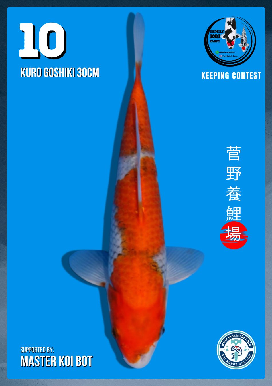 Lelang Koi Online, Jual Beli Ikan Koi, Pusat Jual Beli Koi, Info Lelang Koi Hari Ini, Platform Jual Beli Koi, Jual Beli Ikan Koi Online, Marketplace Ikan Koi, Jual Koi Terbaik, Tempat Beli Koi Berkualitas, Pasar Ikan Koi Online Terpercaya, Penjual Ikan Koi Terpercaya, Beli Koi Hias Online, Ikan Koi untuk Dijual, Koi Kualitas Terbaik, Toko Online Ikan Koi, Koi Hias Untuk Dijual, Jual Beli Ikan Koi Lokal, Koi Indonesia Online, Pusat Jual Beli Koi Terbesar