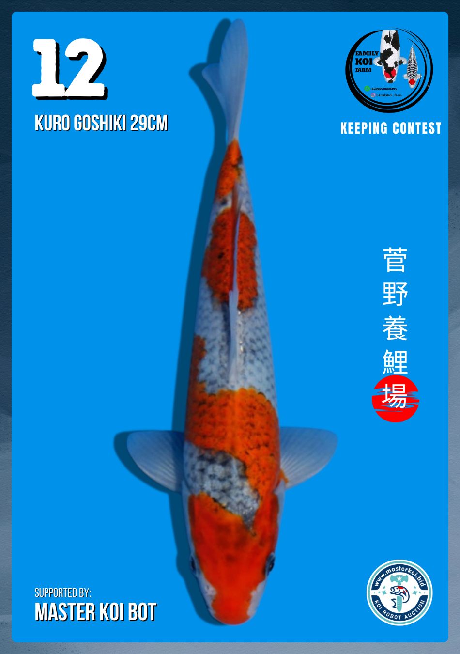 Lelang Koi Online, Jual Beli Ikan Koi, Pusat Jual Beli Koi, Info Lelang Koi Hari Ini, Platform Jual Beli Koi, Jual Beli Ikan Koi Online, Marketplace Ikan Koi, Jual Koi Terbaik, Tempat Beli Koi Berkualitas, Pasar Ikan Koi Online Terpercaya, Penjual Ikan Koi Terpercaya, Beli Koi Hias Online, Ikan Koi untuk Dijual, Koi Kualitas Terbaik, Toko Online Ikan Koi, Koi Hias Untuk Dijual, Jual Beli Ikan Koi Lokal, Koi Indonesia Online, Pusat Jual Beli Koi Terbesar