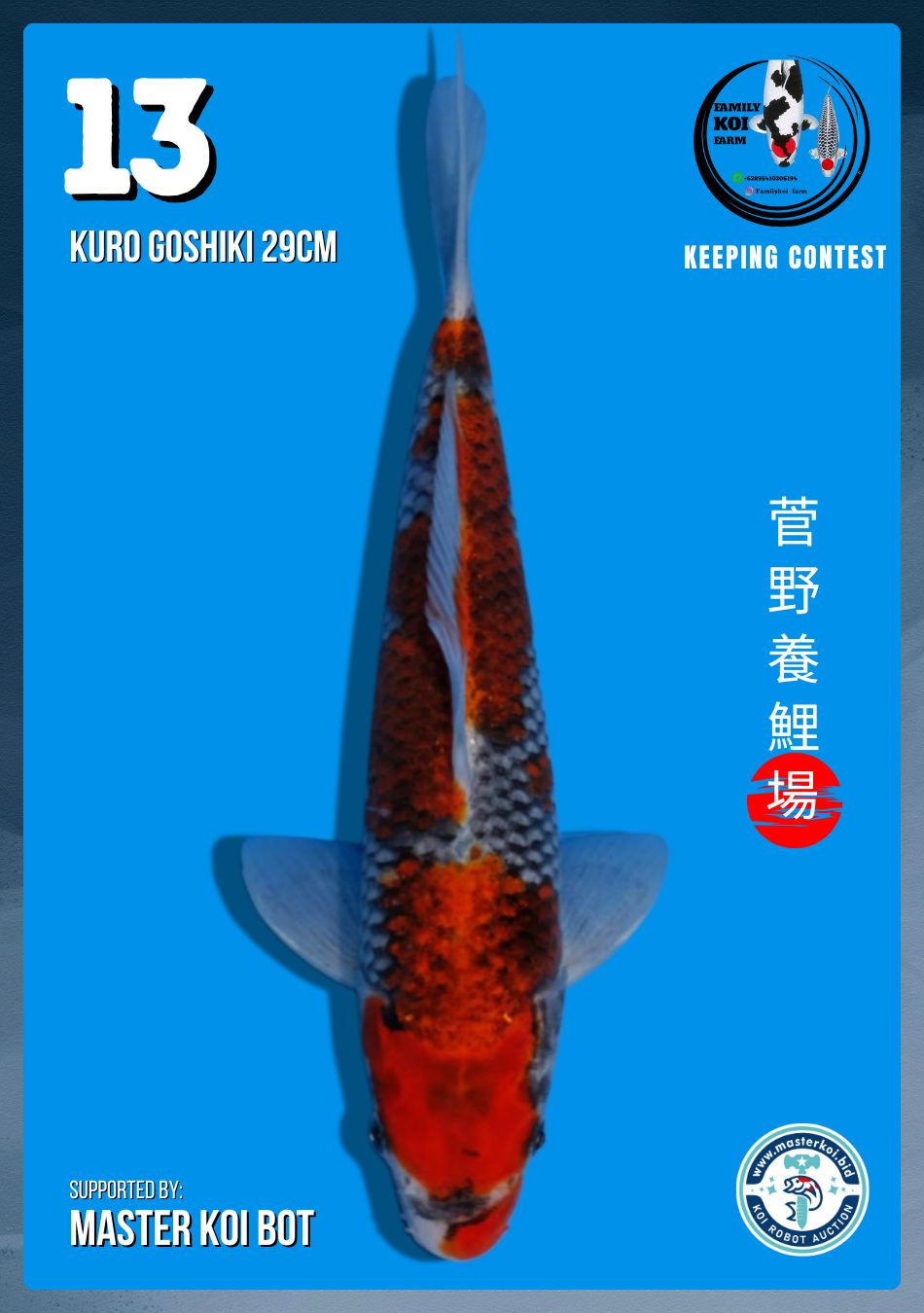 Lelang Koi Online, Jual Beli Ikan Koi, Pusat Jual Beli Koi, Info Lelang Koi Hari Ini, Platform Jual Beli Koi, Jual Beli Ikan Koi Online, Marketplace Ikan Koi, Jual Koi Terbaik, Tempat Beli Koi Berkualitas, Pasar Ikan Koi Online Terpercaya, Penjual Ikan Koi Terpercaya, Beli Koi Hias Online, Ikan Koi untuk Dijual, Koi Kualitas Terbaik, Toko Online Ikan Koi, Koi Hias Untuk Dijual, Jual Beli Ikan Koi Lokal, Koi Indonesia Online, Pusat Jual Beli Koi Terbesar