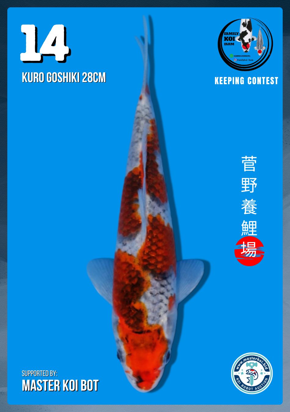 Lelang Koi Online, Jual Beli Ikan Koi, Pusat Jual Beli Koi, Info Lelang Koi Hari Ini, Platform Jual Beli Koi, Jual Beli Ikan Koi Online, Marketplace Ikan Koi, Jual Koi Terbaik, Tempat Beli Koi Berkualitas, Pasar Ikan Koi Online Terpercaya, Penjual Ikan Koi Terpercaya, Beli Koi Hias Online, Ikan Koi untuk Dijual, Koi Kualitas Terbaik, Toko Online Ikan Koi, Koi Hias Untuk Dijual, Jual Beli Ikan Koi Lokal, Koi Indonesia Online, Pusat Jual Beli Koi Terbesar