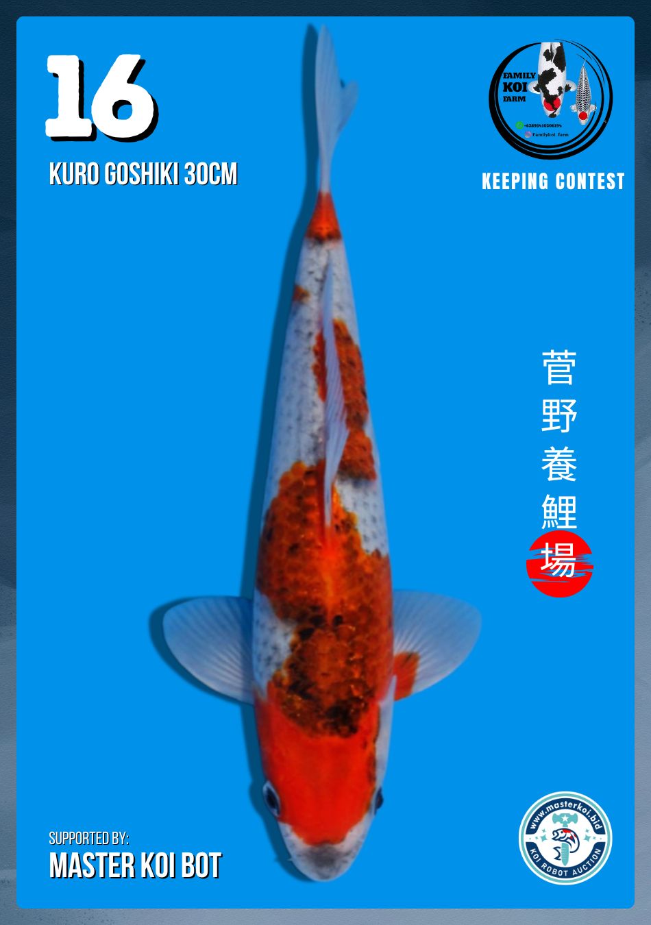 Lelang Koi Online, Jual Beli Ikan Koi, Pusat Jual Beli Koi, Info Lelang Koi Hari Ini, Platform Jual Beli Koi, Jual Beli Ikan Koi Online, Marketplace Ikan Koi, Jual Koi Terbaik, Tempat Beli Koi Berkualitas, Pasar Ikan Koi Online Terpercaya, Penjual Ikan Koi Terpercaya, Beli Koi Hias Online, Ikan Koi untuk Dijual, Koi Kualitas Terbaik, Toko Online Ikan Koi, Koi Hias Untuk Dijual, Jual Beli Ikan Koi Lokal, Koi Indonesia Online, Pusat Jual Beli Koi Terbesar