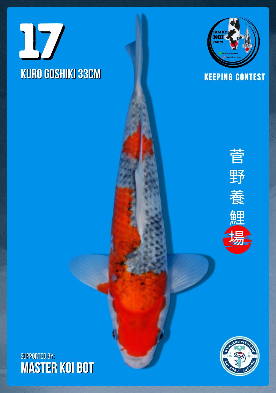 Lelang Koi Online, Jual Beli Ikan Koi, Pusat Jual Beli Koi, Info Lelang Koi Hari Ini, Platform Jual Beli Koi, Jual Beli Ikan Koi Online, Marketplace Ikan Koi, Jual Koi Terbaik, Tempat Beli Koi Berkualitas, Pasar Ikan Koi Online Terpercaya, Penjual Ikan Koi Terpercaya, Beli Koi Hias Online, Ikan Koi untuk Dijual, Koi Kualitas Terbaik, Toko Online Ikan Koi, Koi Hias Untuk Dijual, Jual Beli Ikan Koi Lokal, Koi Indonesia Online, Pusat Jual Beli Koi Terbesar