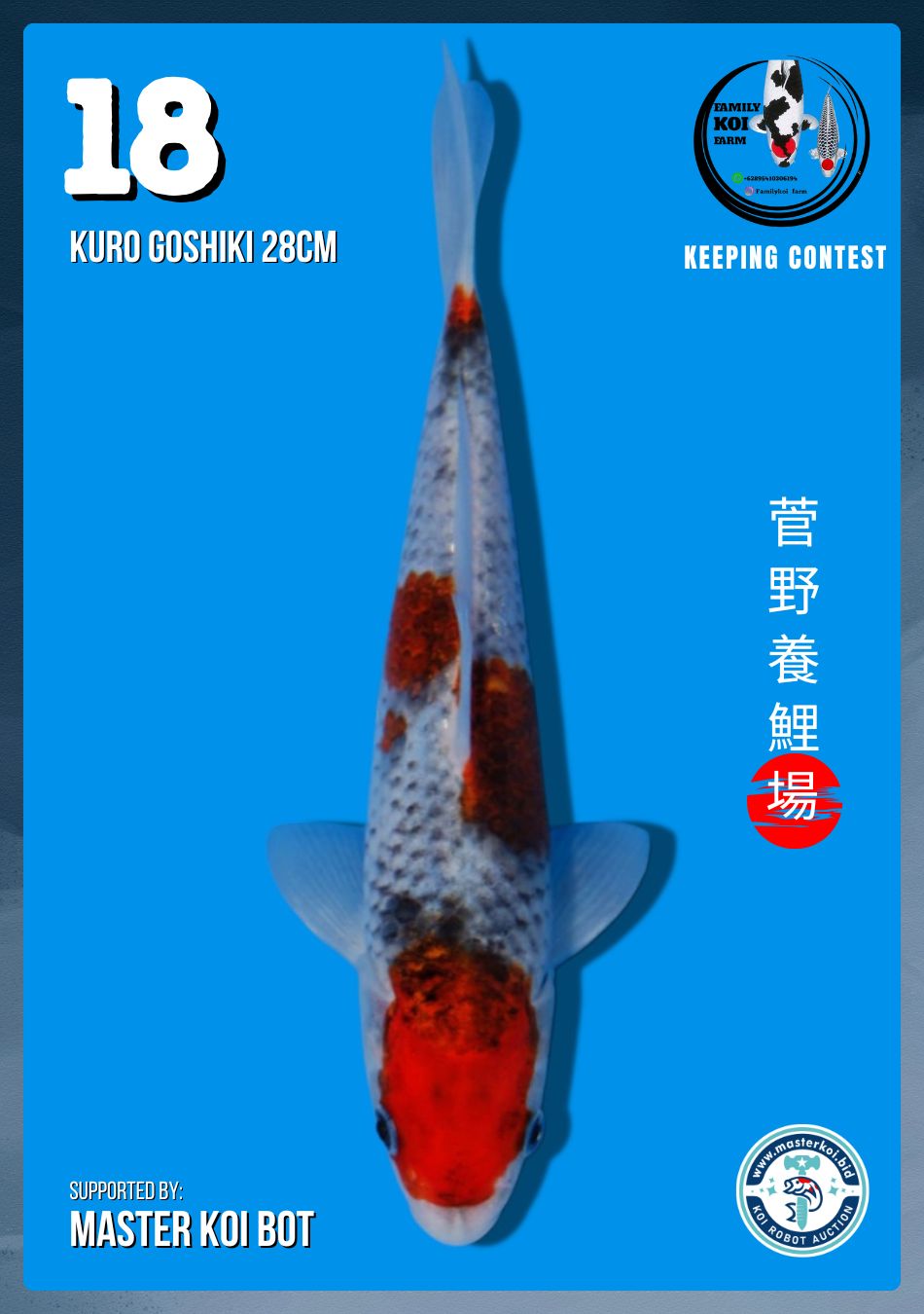 Lelang Koi Online, Jual Beli Ikan Koi, Pusat Jual Beli Koi, Info Lelang Koi Hari Ini, Platform Jual Beli Koi, Jual Beli Ikan Koi Online, Marketplace Ikan Koi, Jual Koi Terbaik, Tempat Beli Koi Berkualitas, Pasar Ikan Koi Online Terpercaya, Penjual Ikan Koi Terpercaya, Beli Koi Hias Online, Ikan Koi untuk Dijual, Koi Kualitas Terbaik, Toko Online Ikan Koi, Koi Hias Untuk Dijual, Jual Beli Ikan Koi Lokal, Koi Indonesia Online, Pusat Jual Beli Koi Terbesar