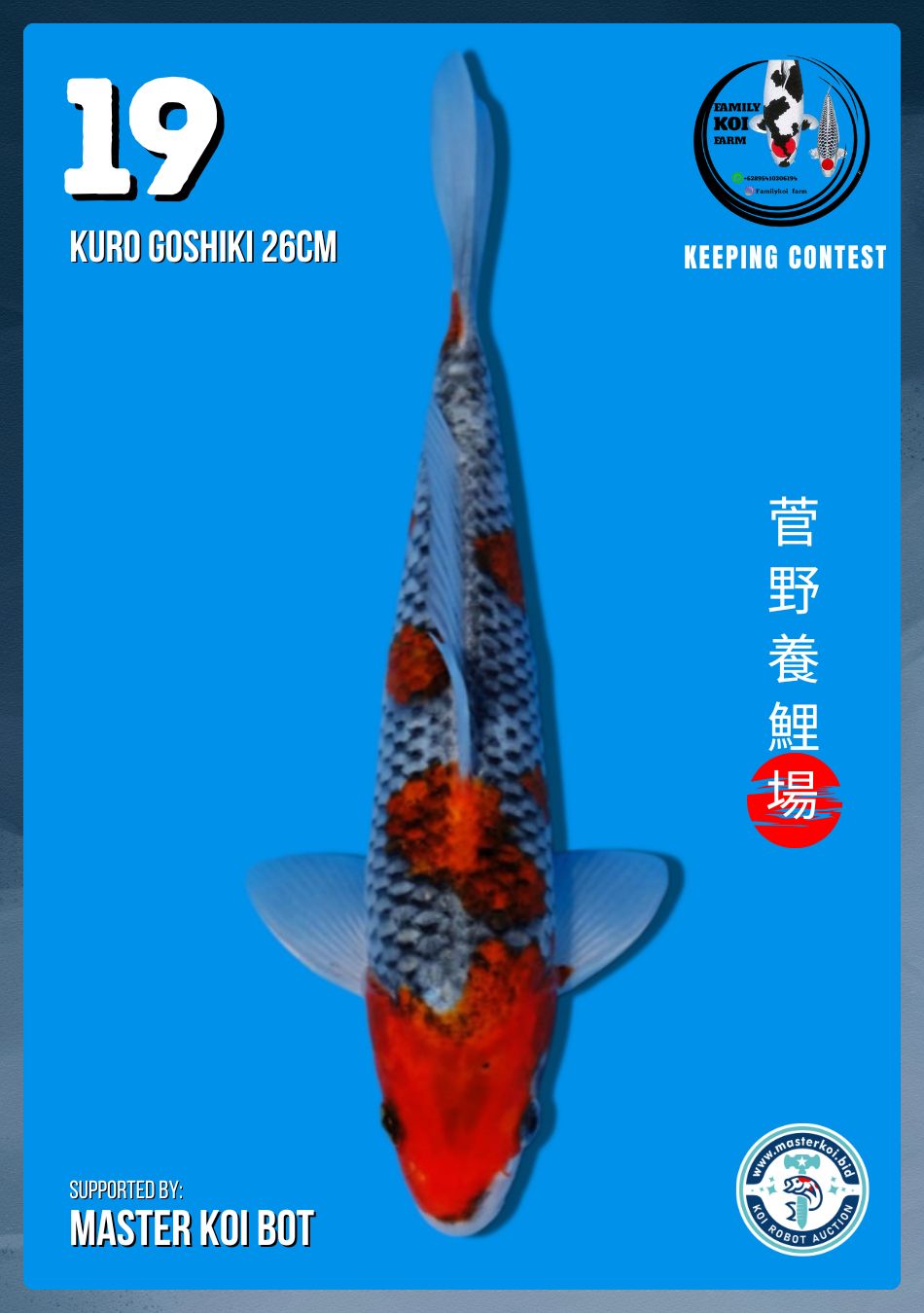 Lelang Koi Online, Jual Beli Ikan Koi, Pusat Jual Beli Koi, Info Lelang Koi Hari Ini, Platform Jual Beli Koi, Jual Beli Ikan Koi Online, Marketplace Ikan Koi, Jual Koi Terbaik, Tempat Beli Koi Berkualitas, Pasar Ikan Koi Online Terpercaya, Penjual Ikan Koi Terpercaya, Beli Koi Hias Online, Ikan Koi untuk Dijual, Koi Kualitas Terbaik, Toko Online Ikan Koi, Koi Hias Untuk Dijual, Jual Beli Ikan Koi Lokal, Koi Indonesia Online, Pusat Jual Beli Koi Terbesar