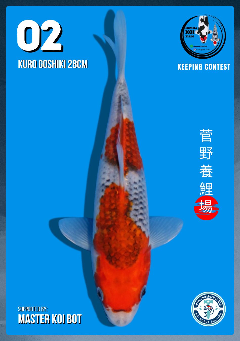 Lelang Koi Online, Jual Beli Ikan Koi, Pusat Jual Beli Koi, Info Lelang Koi Hari Ini, Platform Jual Beli Koi, Jual Beli Ikan Koi Online, Marketplace Ikan Koi, Jual Koi Terbaik, Tempat Beli Koi Berkualitas, Pasar Ikan Koi Online Terpercaya, Penjual Ikan Koi Terpercaya, Beli Koi Hias Online, Ikan Koi untuk Dijual, Koi Kualitas Terbaik, Toko Online Ikan Koi, Koi Hias Untuk Dijual, Jual Beli Ikan Koi Lokal, Koi Indonesia Online, Pusat Jual Beli Koi Terbesar