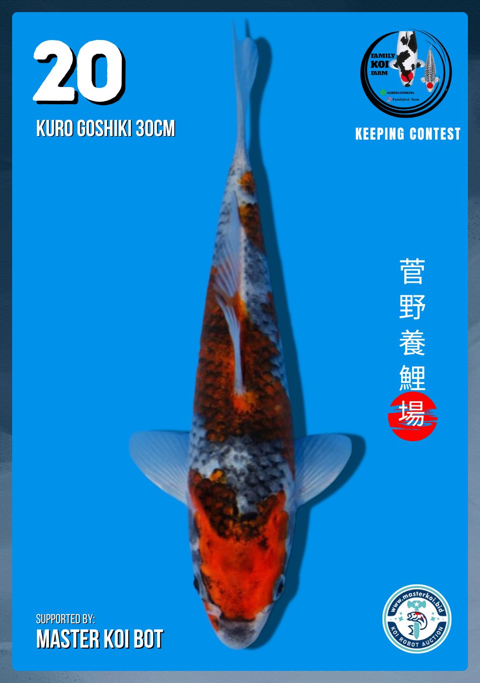 Lelang Koi Online, Jual Beli Ikan Koi, Pusat Jual Beli Koi, Info Lelang Koi Hari Ini, Platform Jual Beli Koi, Jual Beli Ikan Koi Online, Marketplace Ikan Koi, Jual Koi Terbaik, Tempat Beli Koi Berkualitas, Pasar Ikan Koi Online Terpercaya, Penjual Ikan Koi Terpercaya, Beli Koi Hias Online, Ikan Koi untuk Dijual, Koi Kualitas Terbaik, Toko Online Ikan Koi, Koi Hias Untuk Dijual, Jual Beli Ikan Koi Lokal, Koi Indonesia Online, Pusat Jual Beli Koi Terbesar