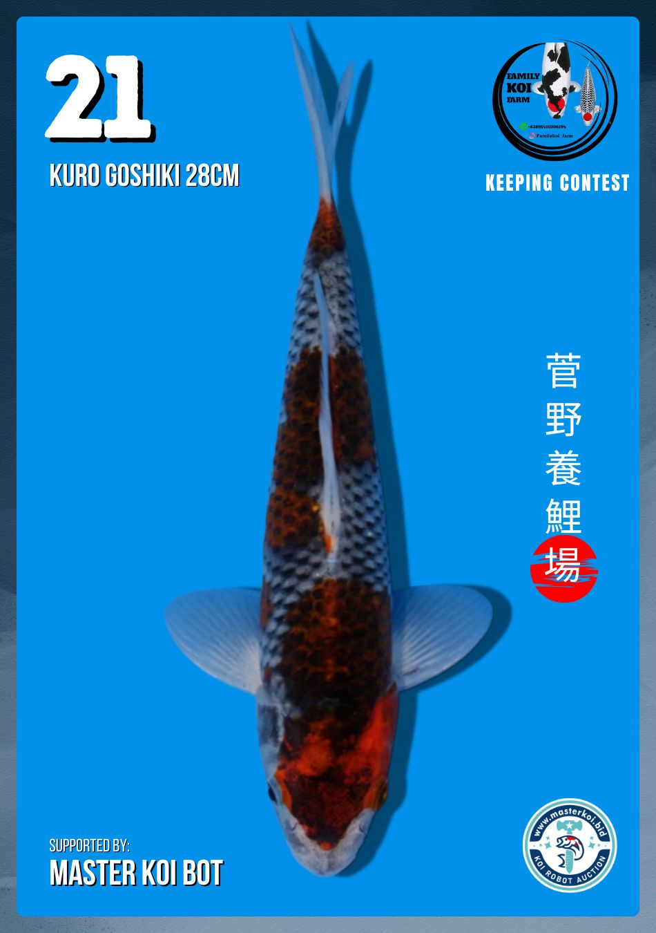 Lelang Koi Online, Jual Beli Ikan Koi, Pusat Jual Beli Koi, Info Lelang Koi Hari Ini, Platform Jual Beli Koi, Jual Beli Ikan Koi Online, Marketplace Ikan Koi, Jual Koi Terbaik, Tempat Beli Koi Berkualitas, Pasar Ikan Koi Online Terpercaya, Penjual Ikan Koi Terpercaya, Beli Koi Hias Online, Ikan Koi untuk Dijual, Koi Kualitas Terbaik, Toko Online Ikan Koi, Koi Hias Untuk Dijual, Jual Beli Ikan Koi Lokal, Koi Indonesia Online, Pusat Jual Beli Koi Terbesar