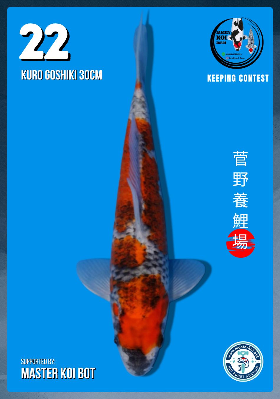 Lelang Koi Online, Jual Beli Ikan Koi, Pusat Jual Beli Koi, Info Lelang Koi Hari Ini, Platform Jual Beli Koi, Jual Beli Ikan Koi Online, Marketplace Ikan Koi, Jual Koi Terbaik, Tempat Beli Koi Berkualitas, Pasar Ikan Koi Online Terpercaya, Penjual Ikan Koi Terpercaya, Beli Koi Hias Online, Ikan Koi untuk Dijual, Koi Kualitas Terbaik, Toko Online Ikan Koi, Koi Hias Untuk Dijual, Jual Beli Ikan Koi Lokal, Koi Indonesia Online, Pusat Jual Beli Koi Terbesar