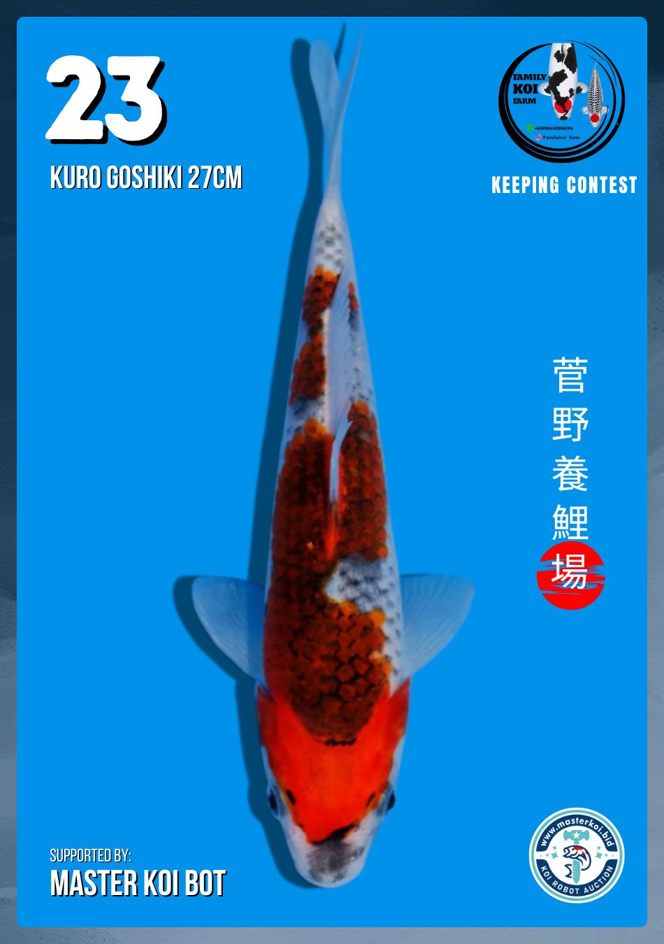 Lelang Koi Online, Jual Beli Ikan Koi, Pusat Jual Beli Koi, Info Lelang Koi Hari Ini, Platform Jual Beli Koi, Jual Beli Ikan Koi Online, Marketplace Ikan Koi, Jual Koi Terbaik, Tempat Beli Koi Berkualitas, Pasar Ikan Koi Online Terpercaya, Penjual Ikan Koi Terpercaya, Beli Koi Hias Online, Ikan Koi untuk Dijual, Koi Kualitas Terbaik, Toko Online Ikan Koi, Koi Hias Untuk Dijual, Jual Beli Ikan Koi Lokal, Koi Indonesia Online, Pusat Jual Beli Koi Terbesar