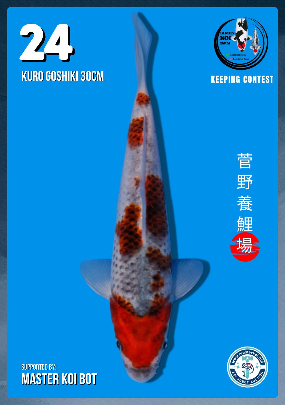 Lelang Koi Online, Jual Beli Ikan Koi, Pusat Jual Beli Koi, Info Lelang Koi Hari Ini, Platform Jual Beli Koi, Jual Beli Ikan Koi Online, Marketplace Ikan Koi, Jual Koi Terbaik, Tempat Beli Koi Berkualitas, Pasar Ikan Koi Online Terpercaya, Penjual Ikan Koi Terpercaya, Beli Koi Hias Online, Ikan Koi untuk Dijual, Koi Kualitas Terbaik, Toko Online Ikan Koi, Koi Hias Untuk Dijual, Jual Beli Ikan Koi Lokal, Koi Indonesia Online, Pusat Jual Beli Koi Terbesar