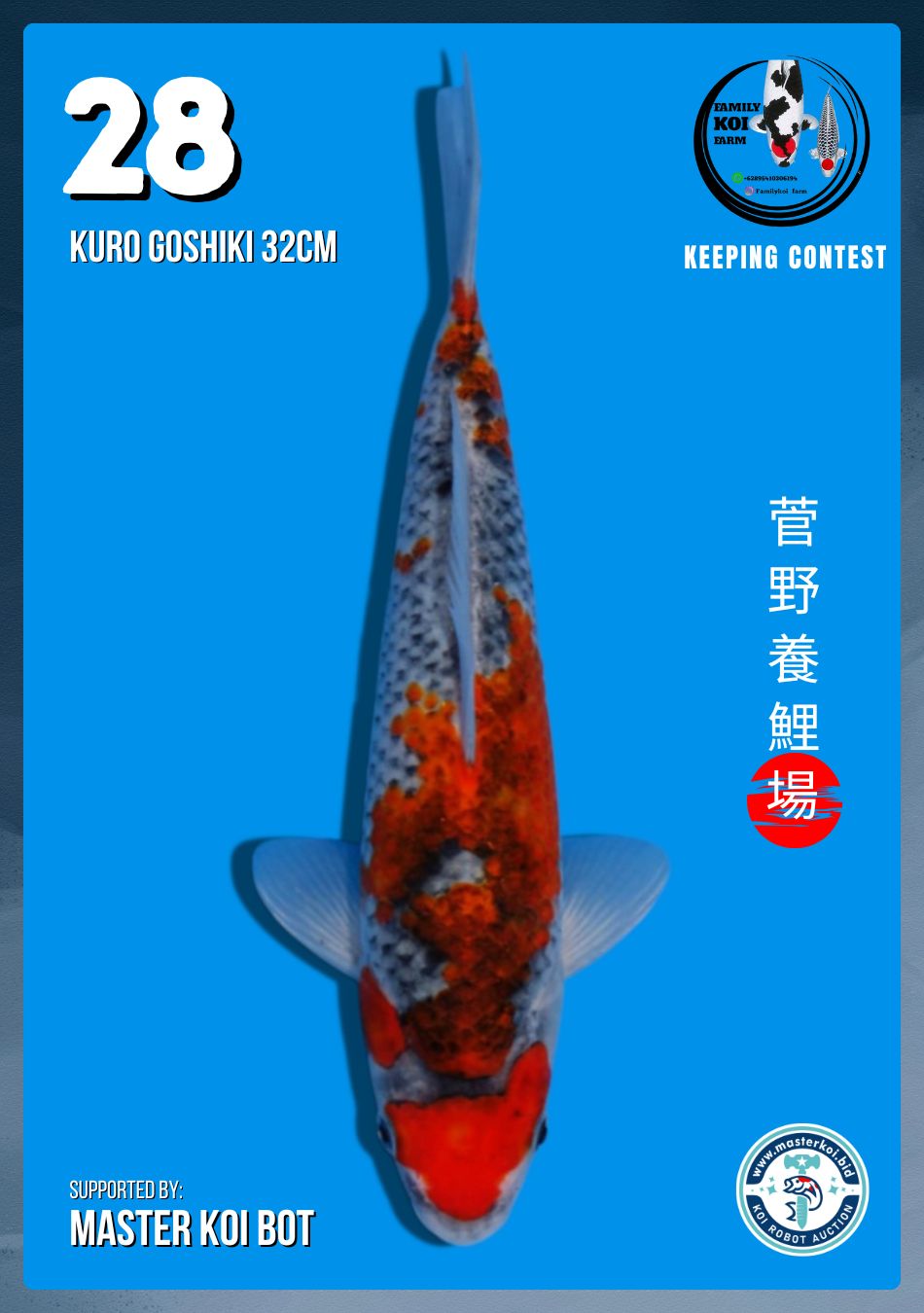 Lelang Koi Online, Jual Beli Ikan Koi, Pusat Jual Beli Koi, Info Lelang Koi Hari Ini, Platform Jual Beli Koi, Jual Beli Ikan Koi Online, Marketplace Ikan Koi, Jual Koi Terbaik, Tempat Beli Koi Berkualitas, Pasar Ikan Koi Online Terpercaya, Penjual Ikan Koi Terpercaya, Beli Koi Hias Online, Ikan Koi untuk Dijual, Koi Kualitas Terbaik, Toko Online Ikan Koi, Koi Hias Untuk Dijual, Jual Beli Ikan Koi Lokal, Koi Indonesia Online, Pusat Jual Beli Koi Terbesar