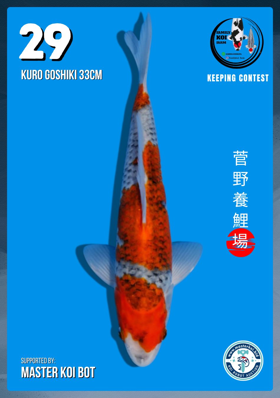 Lelang Koi Online, Jual Beli Ikan Koi, Pusat Jual Beli Koi, Info Lelang Koi Hari Ini, Platform Jual Beli Koi, Jual Beli Ikan Koi Online, Marketplace Ikan Koi, Jual Koi Terbaik, Tempat Beli Koi Berkualitas, Pasar Ikan Koi Online Terpercaya, Penjual Ikan Koi Terpercaya, Beli Koi Hias Online, Ikan Koi untuk Dijual, Koi Kualitas Terbaik, Toko Online Ikan Koi, Koi Hias Untuk Dijual, Jual Beli Ikan Koi Lokal, Koi Indonesia Online, Pusat Jual Beli Koi Terbesar