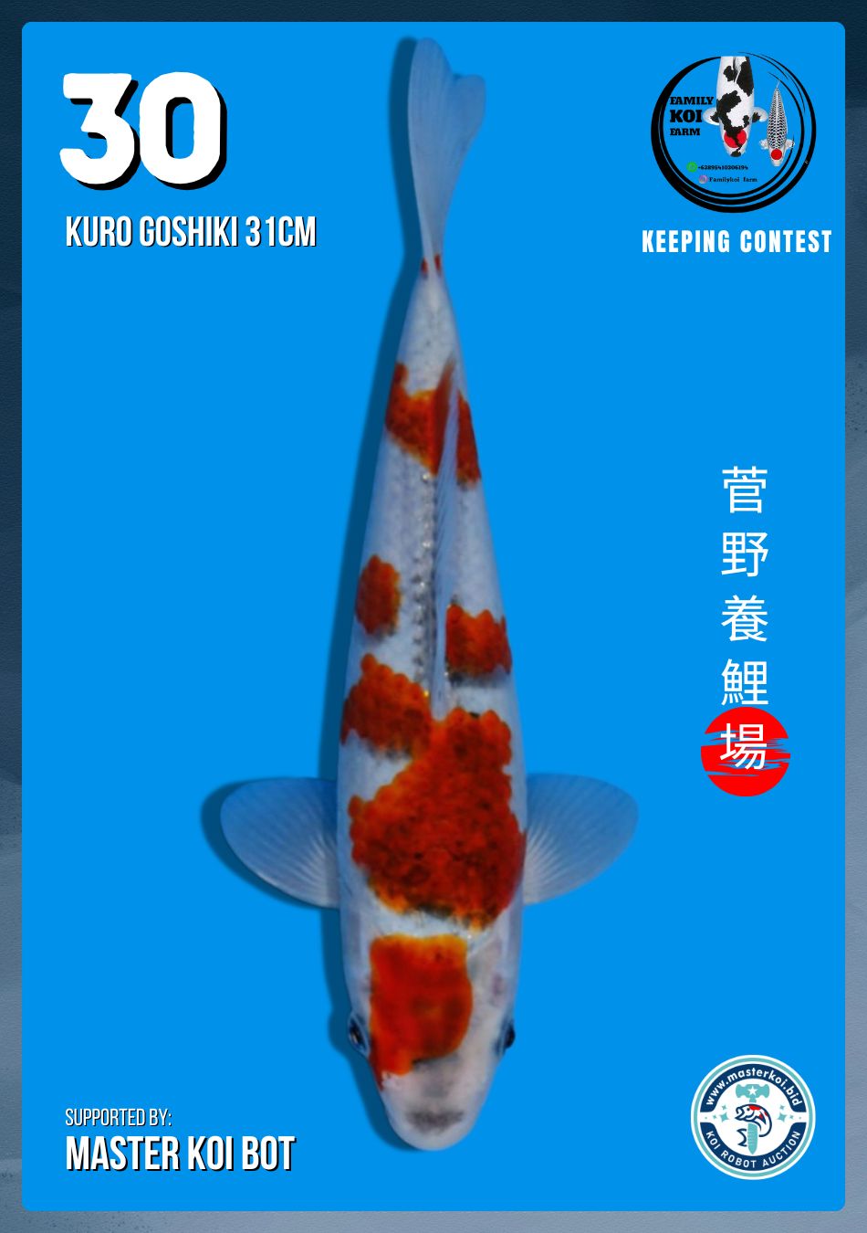 Lelang Koi Online, Jual Beli Ikan Koi, Pusat Jual Beli Koi, Info Lelang Koi Hari Ini, Platform Jual Beli Koi, Jual Beli Ikan Koi Online, Marketplace Ikan Koi, Jual Koi Terbaik, Tempat Beli Koi Berkualitas, Pasar Ikan Koi Online Terpercaya, Penjual Ikan Koi Terpercaya, Beli Koi Hias Online, Ikan Koi untuk Dijual, Koi Kualitas Terbaik, Toko Online Ikan Koi, Koi Hias Untuk Dijual, Jual Beli Ikan Koi Lokal, Koi Indonesia Online, Pusat Jual Beli Koi Terbesar