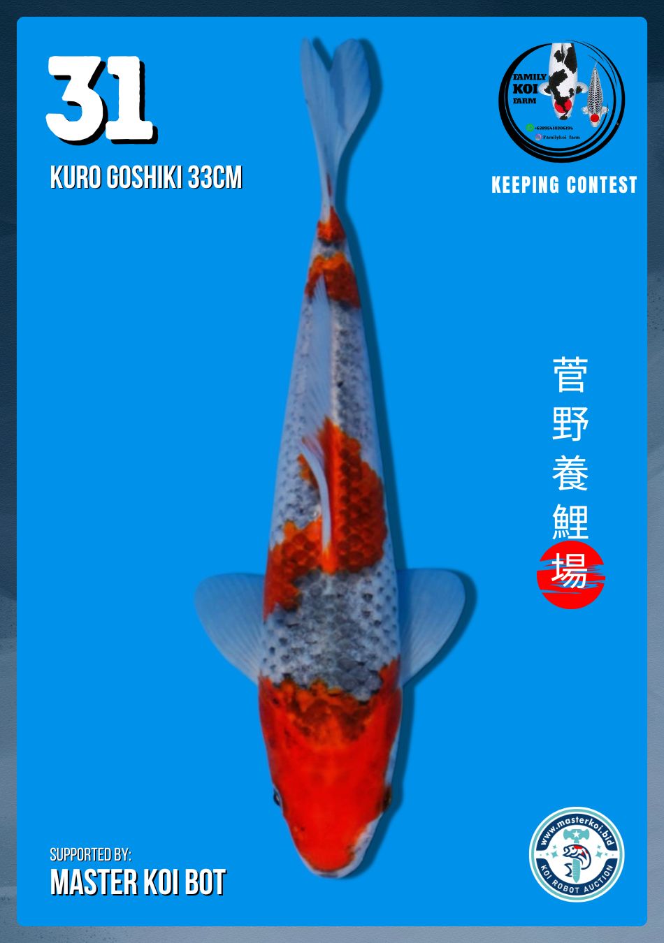 Lelang Koi Online, Jual Beli Ikan Koi, Pusat Jual Beli Koi, Info Lelang Koi Hari Ini, Platform Jual Beli Koi, Jual Beli Ikan Koi Online, Marketplace Ikan Koi, Jual Koi Terbaik, Tempat Beli Koi Berkualitas, Pasar Ikan Koi Online Terpercaya, Penjual Ikan Koi Terpercaya, Beli Koi Hias Online, Ikan Koi untuk Dijual, Koi Kualitas Terbaik, Toko Online Ikan Koi, Koi Hias Untuk Dijual, Jual Beli Ikan Koi Lokal, Koi Indonesia Online, Pusat Jual Beli Koi Terbesar