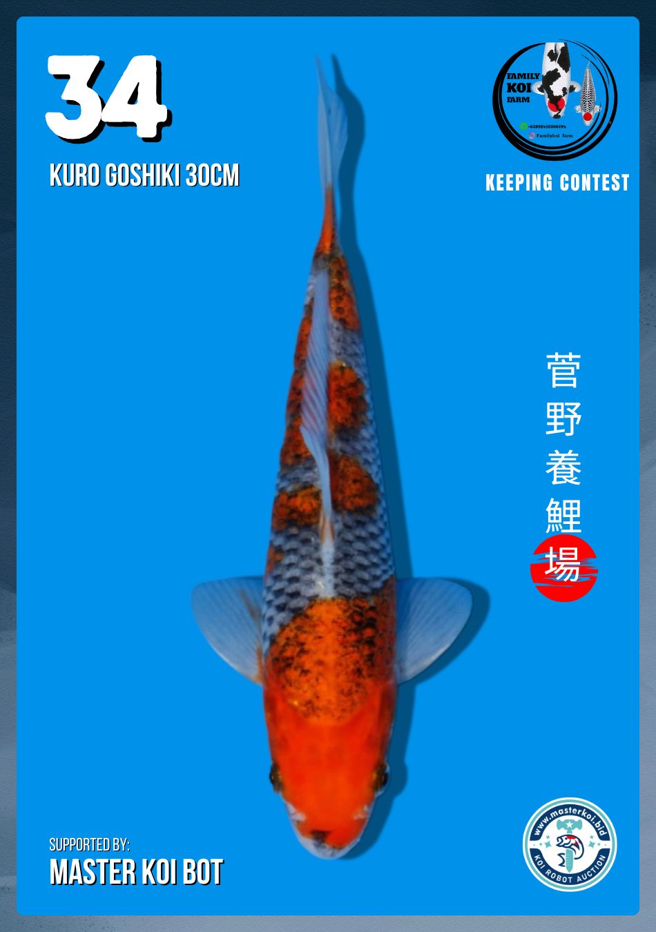 Lelang Koi Online, Jual Beli Ikan Koi, Pusat Jual Beli Koi, Info Lelang Koi Hari Ini, Platform Jual Beli Koi, Jual Beli Ikan Koi Online, Marketplace Ikan Koi, Jual Koi Terbaik, Tempat Beli Koi Berkualitas, Pasar Ikan Koi Online Terpercaya, Penjual Ikan Koi Terpercaya, Beli Koi Hias Online, Ikan Koi untuk Dijual, Koi Kualitas Terbaik, Toko Online Ikan Koi, Koi Hias Untuk Dijual, Jual Beli Ikan Koi Lokal, Koi Indonesia Online, Pusat Jual Beli Koi Terbesar