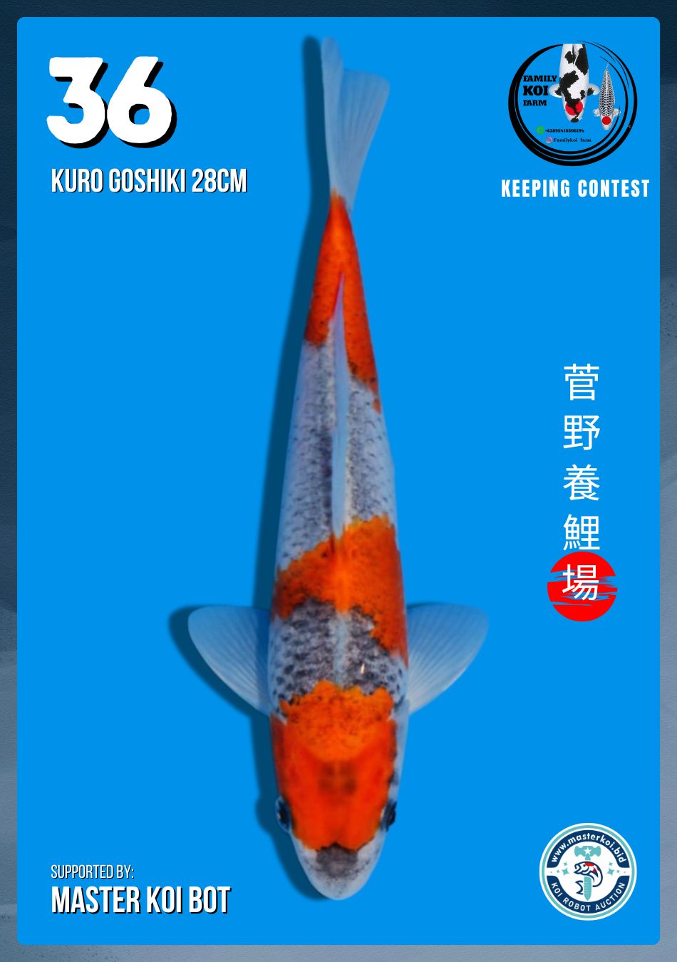 Lelang Koi Online, Jual Beli Ikan Koi, Pusat Jual Beli Koi, Info Lelang Koi Hari Ini, Platform Jual Beli Koi, Jual Beli Ikan Koi Online, Marketplace Ikan Koi, Jual Koi Terbaik, Tempat Beli Koi Berkualitas, Pasar Ikan Koi Online Terpercaya, Penjual Ikan Koi Terpercaya, Beli Koi Hias Online, Ikan Koi untuk Dijual, Koi Kualitas Terbaik, Toko Online Ikan Koi, Koi Hias Untuk Dijual, Jual Beli Ikan Koi Lokal, Koi Indonesia Online, Pusat Jual Beli Koi Terbesar