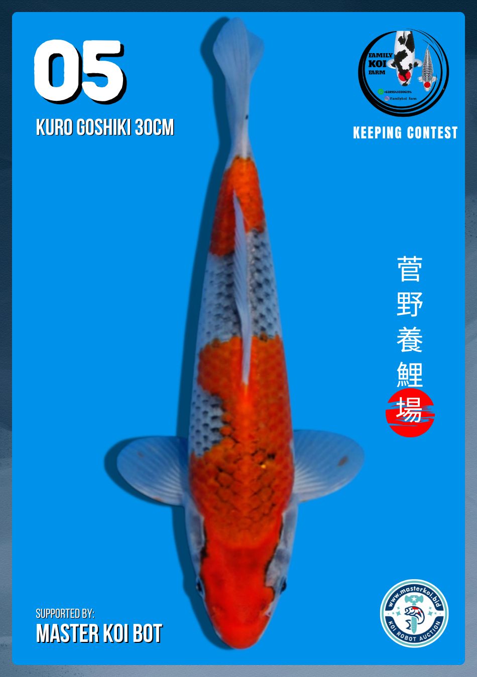 Lelang Koi Online, Jual Beli Ikan Koi, Pusat Jual Beli Koi, Info Lelang Koi Hari Ini, Platform Jual Beli Koi, Jual Beli Ikan Koi Online, Marketplace Ikan Koi, Jual Koi Terbaik, Tempat Beli Koi Berkualitas, Pasar Ikan Koi Online Terpercaya, Penjual Ikan Koi Terpercaya, Beli Koi Hias Online, Ikan Koi untuk Dijual, Koi Kualitas Terbaik, Toko Online Ikan Koi, Koi Hias Untuk Dijual, Jual Beli Ikan Koi Lokal, Koi Indonesia Online, Pusat Jual Beli Koi Terbesar