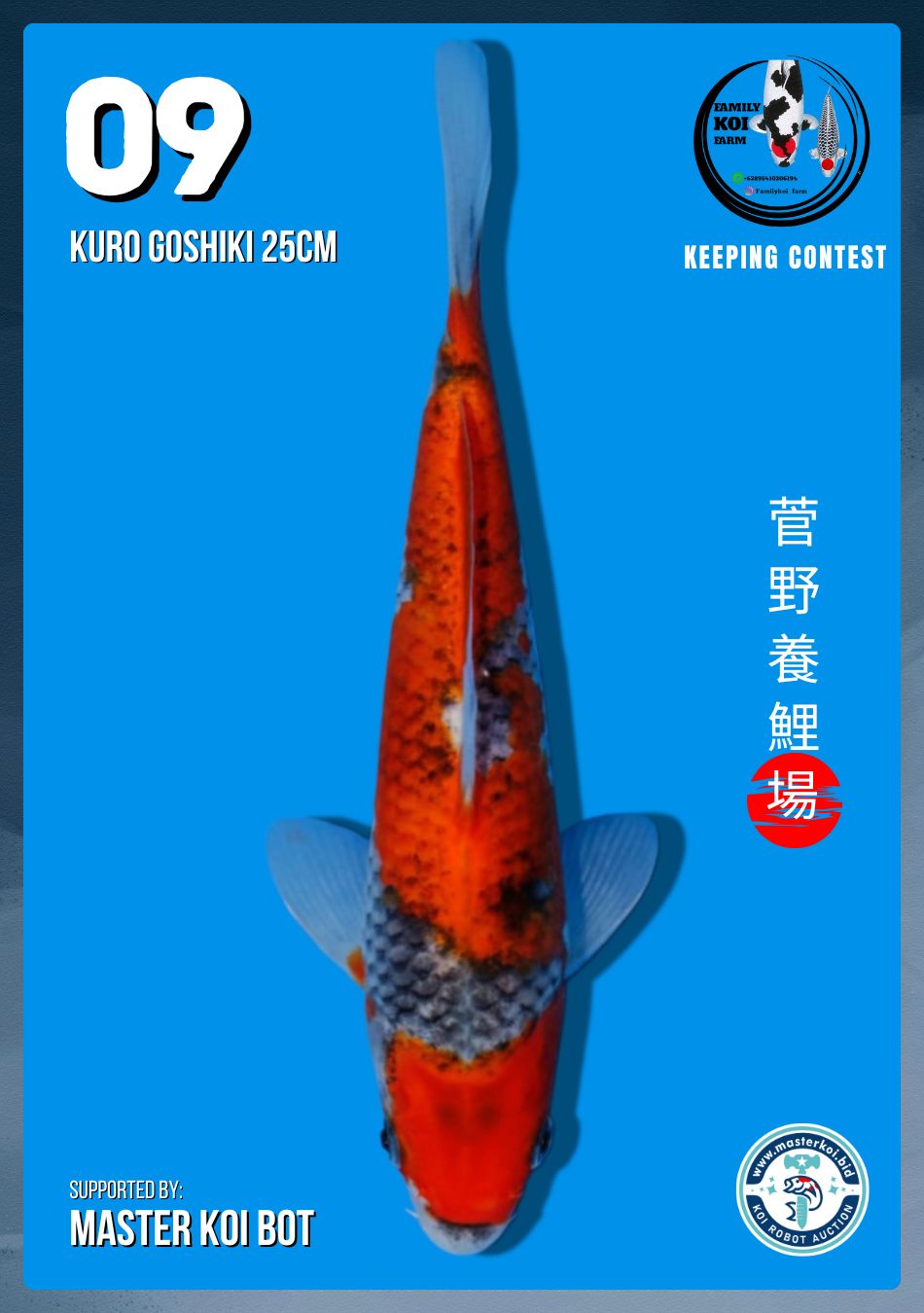 Lelang Koi Online, Jual Beli Ikan Koi, Pusat Jual Beli Koi, Info Lelang Koi Hari Ini, Platform Jual Beli Koi, Jual Beli Ikan Koi Online, Marketplace Ikan Koi, Jual Koi Terbaik, Tempat Beli Koi Berkualitas, Pasar Ikan Koi Online Terpercaya, Penjual Ikan Koi Terpercaya, Beli Koi Hias Online, Ikan Koi untuk Dijual, Koi Kualitas Terbaik, Toko Online Ikan Koi, Koi Hias Untuk Dijual, Jual Beli Ikan Koi Lokal, Koi Indonesia Online, Pusat Jual Beli Koi Terbesar