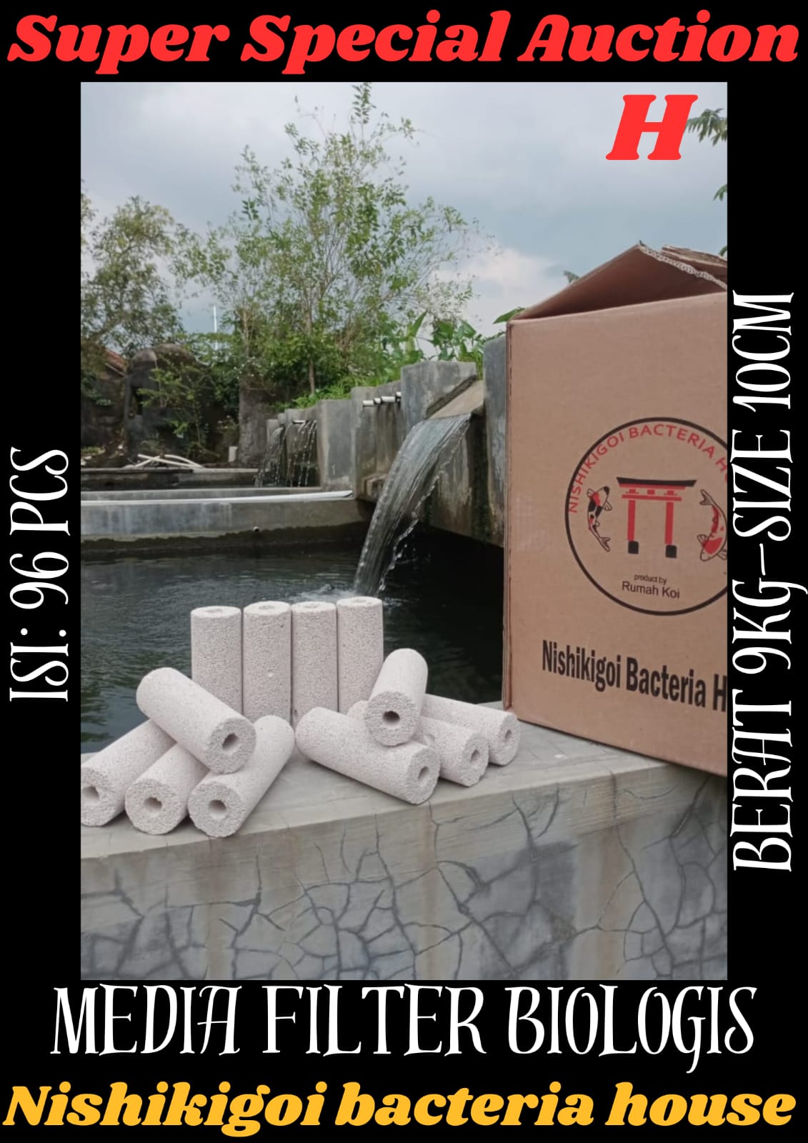 Lelang Koi Online, Jual Beli Ikan Koi, Pusat Jual Beli Koi, Info Lelang Koi Hari Ini, Platform Jual Beli Koi, Jual Beli Ikan Koi Online, Marketplace Ikan Koi, Jual Koi Terbaik, Tempat Beli Koi Berkualitas, Pasar Ikan Koi Online Terpercaya, Penjual Ikan Koi Terpercaya, Beli Koi Hias Online, Ikan Koi untuk Dijual, Koi Kualitas Terbaik, Toko Online Ikan Koi, Koi Hias Untuk Dijual, Jual Beli Ikan Koi Lokal, Koi Indonesia Online, Pusat Jual Beli Koi Terbesar