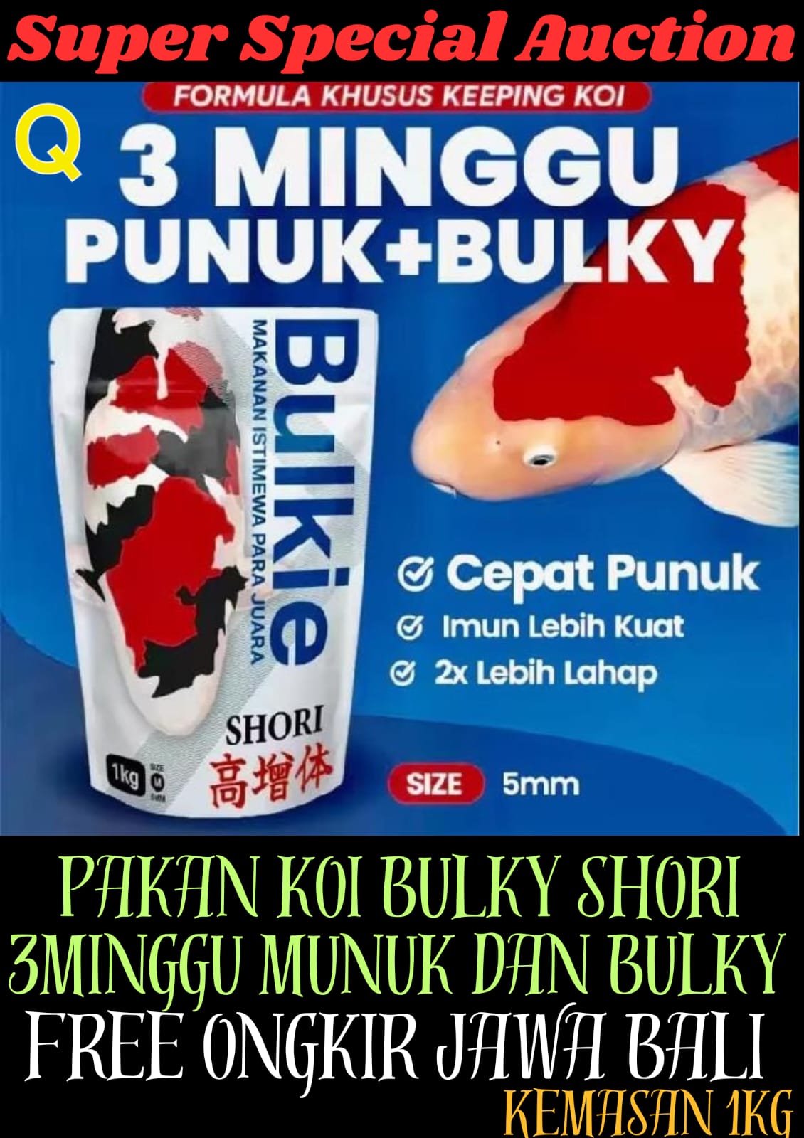 Lelang Koi Online, Jual Beli Ikan Koi, Pusat Jual Beli Koi, Info Lelang Koi Hari Ini, Platform Jual Beli Koi, Jual Beli Ikan Koi Online, Marketplace Ikan Koi, Jual Koi Terbaik, Tempat Beli Koi Berkualitas, Pasar Ikan Koi Online Terpercaya, Penjual Ikan Koi Terpercaya, Beli Koi Hias Online, Ikan Koi untuk Dijual, Koi Kualitas Terbaik, Toko Online Ikan Koi, Koi Hias Untuk Dijual, Jual Beli Ikan Koi Lokal, Koi Indonesia Online, Pusat Jual Beli Koi Terbesar