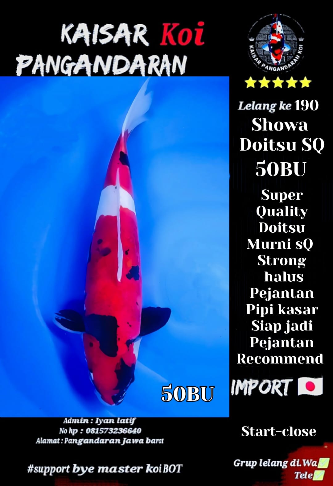 Lelang Koi Online, Jual Beli Ikan Koi, Pusat Jual Beli Koi, Info Lelang Koi Hari Ini, Platform Jual Beli Koi, Jual Beli Ikan Koi Online, Marketplace Ikan Koi, Jual Koi Terbaik, Tempat Beli Koi Berkualitas, Pasar Ikan Koi Online Terpercaya, Penjual Ikan Koi Terpercaya, Beli Koi Hias Online, Ikan Koi untuk Dijual, Koi Kualitas Terbaik, Toko Online Ikan Koi, Koi Hias Untuk Dijual, Jual Beli Ikan Koi Lokal, Koi Indonesia Online, Pusat Jual Beli Koi Terbesar