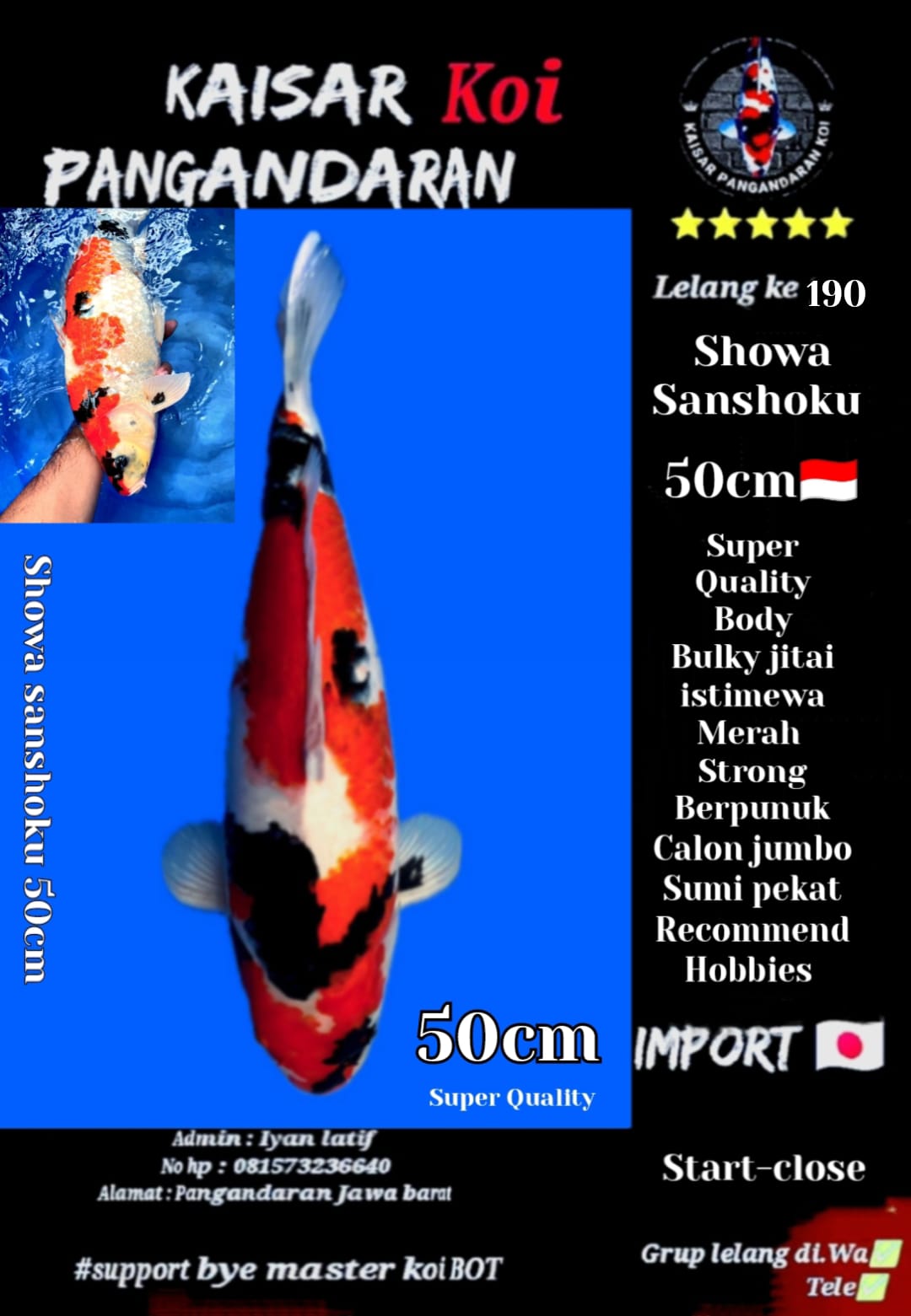 Lelang Koi Online, Jual Beli Ikan Koi, Pusat Jual Beli Koi, Info Lelang Koi Hari Ini, Platform Jual Beli Koi, Jual Beli Ikan Koi Online, Marketplace Ikan Koi, Jual Koi Terbaik, Tempat Beli Koi Berkualitas, Pasar Ikan Koi Online Terpercaya, Penjual Ikan Koi Terpercaya, Beli Koi Hias Online, Ikan Koi untuk Dijual, Koi Kualitas Terbaik, Toko Online Ikan Koi, Koi Hias Untuk Dijual, Jual Beli Ikan Koi Lokal, Koi Indonesia Online, Pusat Jual Beli Koi Terbesar