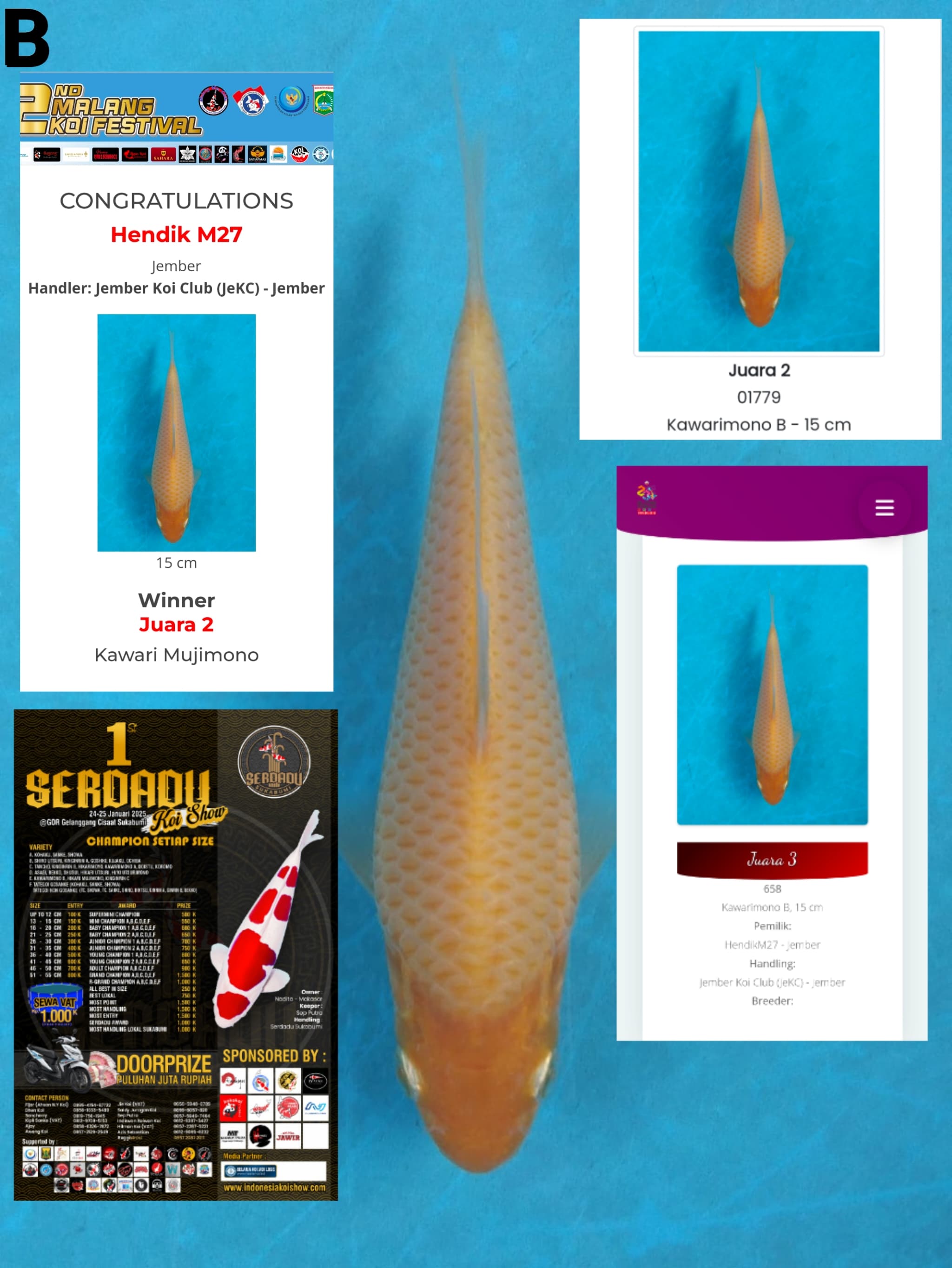 Lelang Koi Online, Jual Beli Ikan Koi, Pusat Jual Beli Koi, Info Lelang Koi Hari Ini, Platform Jual Beli Koi, Jual Beli Ikan Koi Online, Marketplace Ikan Koi, Jual Koi Terbaik, Tempat Beli Koi Berkualitas, Pasar Ikan Koi Online Terpercaya, Penjual Ikan Koi Terpercaya, Beli Koi Hias Online, Ikan Koi untuk Dijual, Koi Kualitas Terbaik, Toko Online Ikan Koi, Koi Hias Untuk Dijual, Jual Beli Ikan Koi Lokal, Koi Indonesia Online, Pusat Jual Beli Koi Terbesar