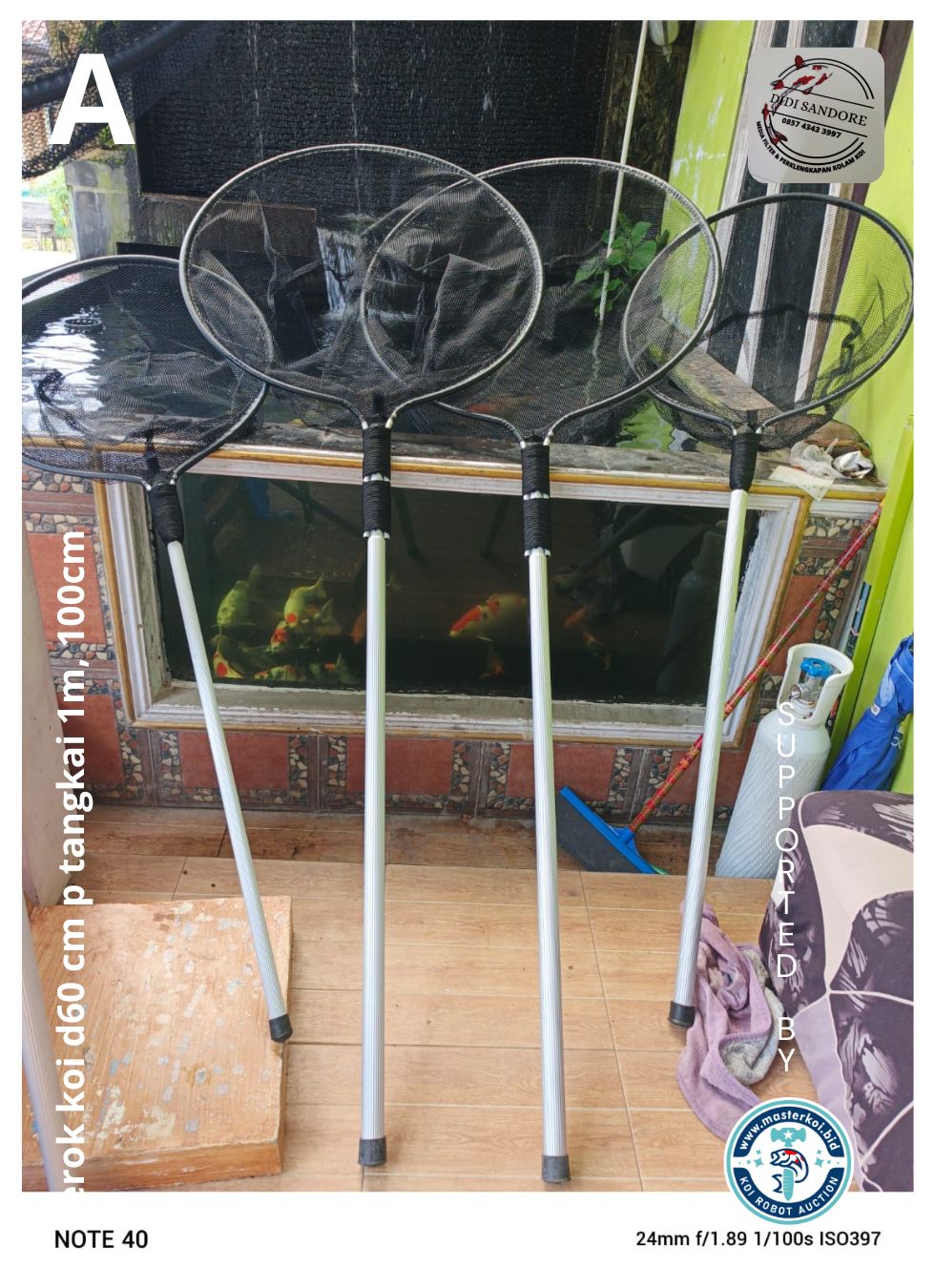 Lelang Koi Online, Jual Beli Ikan Koi, Pusat Jual Beli Koi, Info Lelang Koi Hari Ini, Platform Jual Beli Koi, Jual Beli Ikan Koi Online, Marketplace Ikan Koi, Jual Koi Terbaik, Tempat Beli Koi Berkualitas, Pasar Ikan Koi Online Terpercaya, Penjual Ikan Koi Terpercaya, Beli Koi Hias Online, Ikan Koi untuk Dijual, Koi Kualitas Terbaik, Toko Online Ikan Koi, Koi Hias Untuk Dijual, Jual Beli Ikan Koi Lokal, Koi Indonesia Online, Pusat Jual Beli Koi Terbesar