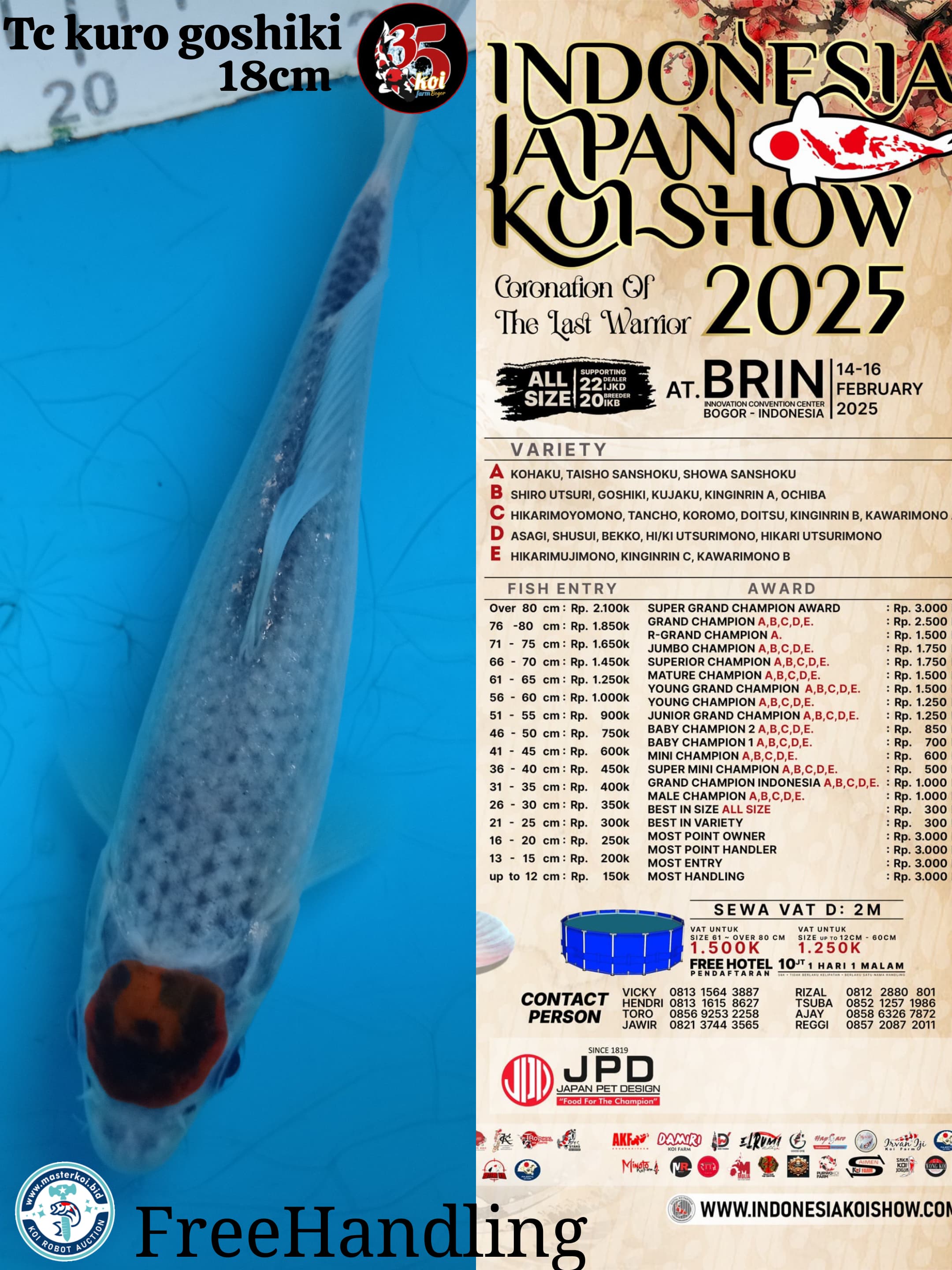 Lelang Koi Online, Jual Beli Ikan Koi, Pusat Jual Beli Koi, Info Lelang Koi Hari Ini, Platform Jual Beli Koi, Jual Beli Ikan Koi Online, Marketplace Ikan Koi, Jual Koi Terbaik, Tempat Beli Koi Berkualitas, Pasar Ikan Koi Online Terpercaya, Penjual Ikan Koi Terpercaya, Beli Koi Hias Online, Ikan Koi untuk Dijual, Koi Kualitas Terbaik, Toko Online Ikan Koi, Koi Hias Untuk Dijual, Jual Beli Ikan Koi Lokal, Koi Indonesia Online, Pusat Jual Beli Koi Terbesar