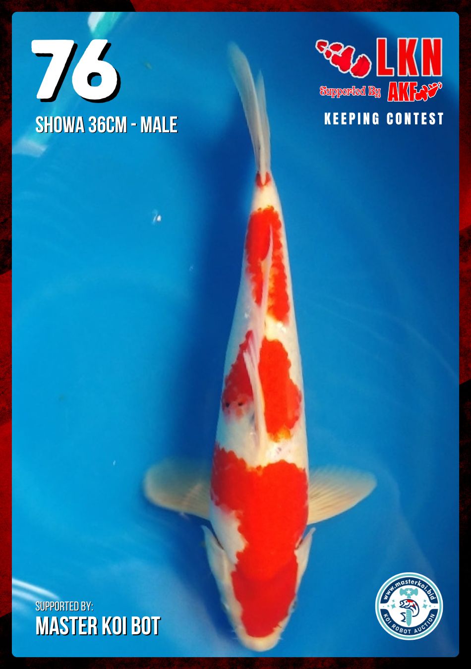 Lelang Koi Online, Jual Beli Ikan Koi, Pusat Jual Beli Koi, Info Lelang Koi Hari Ini, Platform Jual Beli Koi, Jual Beli Ikan Koi Online, Marketplace Ikan Koi, Jual Koi Terbaik, Tempat Beli Koi Berkualitas, Pasar Ikan Koi Online Terpercaya, Penjual Ikan Koi Terpercaya, Beli Koi Hias Online, Ikan Koi untuk Dijual, Koi Kualitas Terbaik, Toko Online Ikan Koi, Koi Hias Untuk Dijual, Jual Beli Ikan Koi Lokal, Koi Indonesia Online, Pusat Jual Beli Koi Terbesar