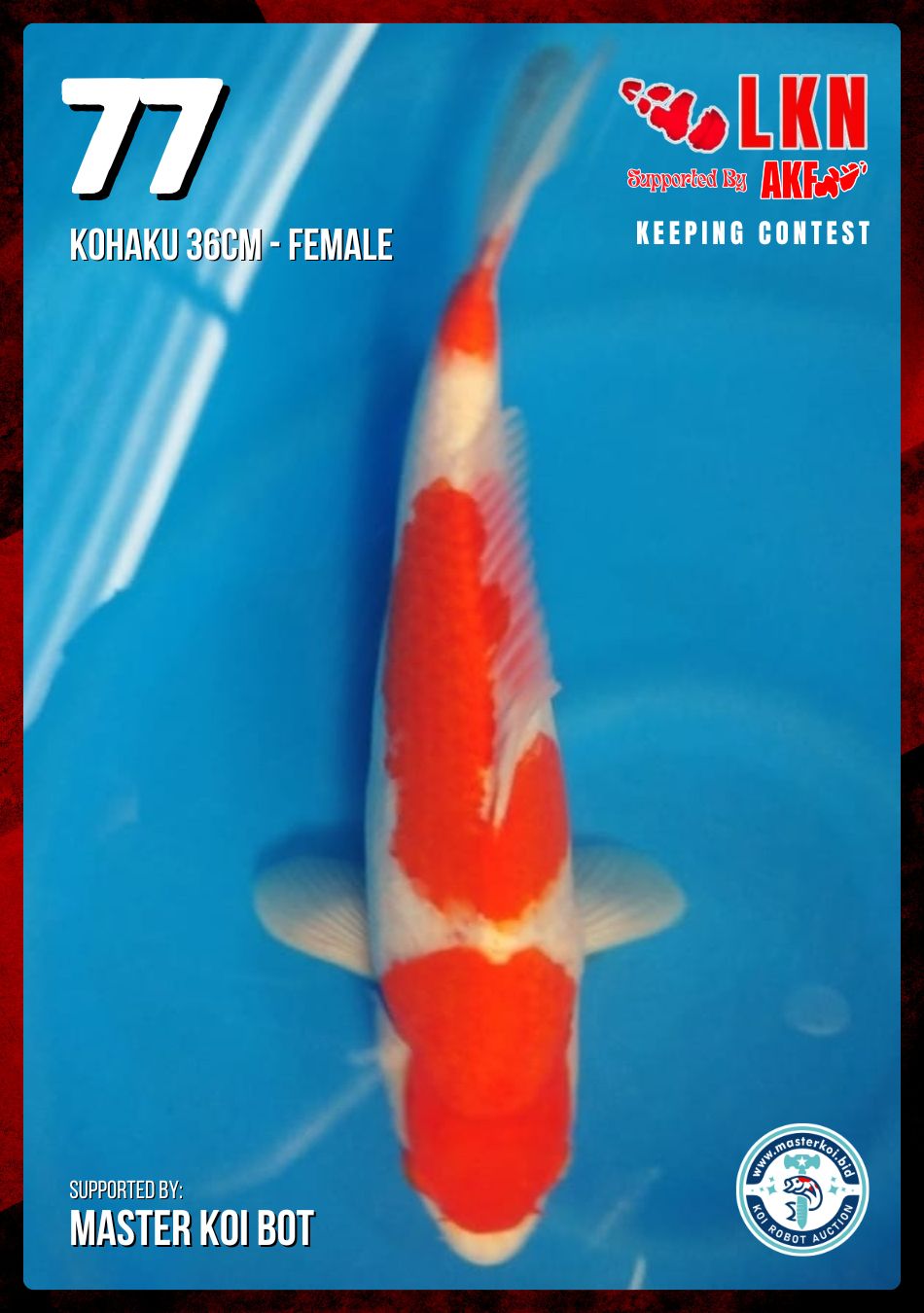 Lelang Koi Online, Jual Beli Ikan Koi, Pusat Jual Beli Koi, Info Lelang Koi Hari Ini, Platform Jual Beli Koi, Jual Beli Ikan Koi Online, Marketplace Ikan Koi, Jual Koi Terbaik, Tempat Beli Koi Berkualitas, Pasar Ikan Koi Online Terpercaya, Penjual Ikan Koi Terpercaya, Beli Koi Hias Online, Ikan Koi untuk Dijual, Koi Kualitas Terbaik, Toko Online Ikan Koi, Koi Hias Untuk Dijual, Jual Beli Ikan Koi Lokal, Koi Indonesia Online, Pusat Jual Beli Koi Terbesar