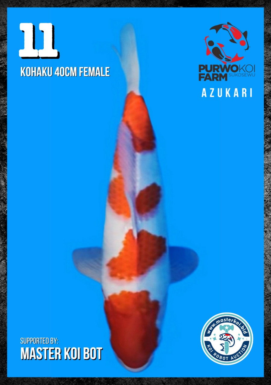 Lelang Koi Online, Jual Beli Ikan Koi, Pusat Jual Beli Koi, Info Lelang Koi Hari Ini, Platform Jual Beli Koi, Jual Beli Ikan Koi Online, Marketplace Ikan Koi, Jual Koi Terbaik, Tempat Beli Koi Berkualitas, Pasar Ikan Koi Online Terpercaya, Penjual Ikan Koi Terpercaya, Beli Koi Hias Online, Ikan Koi untuk Dijual, Koi Kualitas Terbaik, Toko Online Ikan Koi, Koi Hias Untuk Dijual, Jual Beli Ikan Koi Lokal, Koi Indonesia Online, Pusat Jual Beli Koi Terbesar