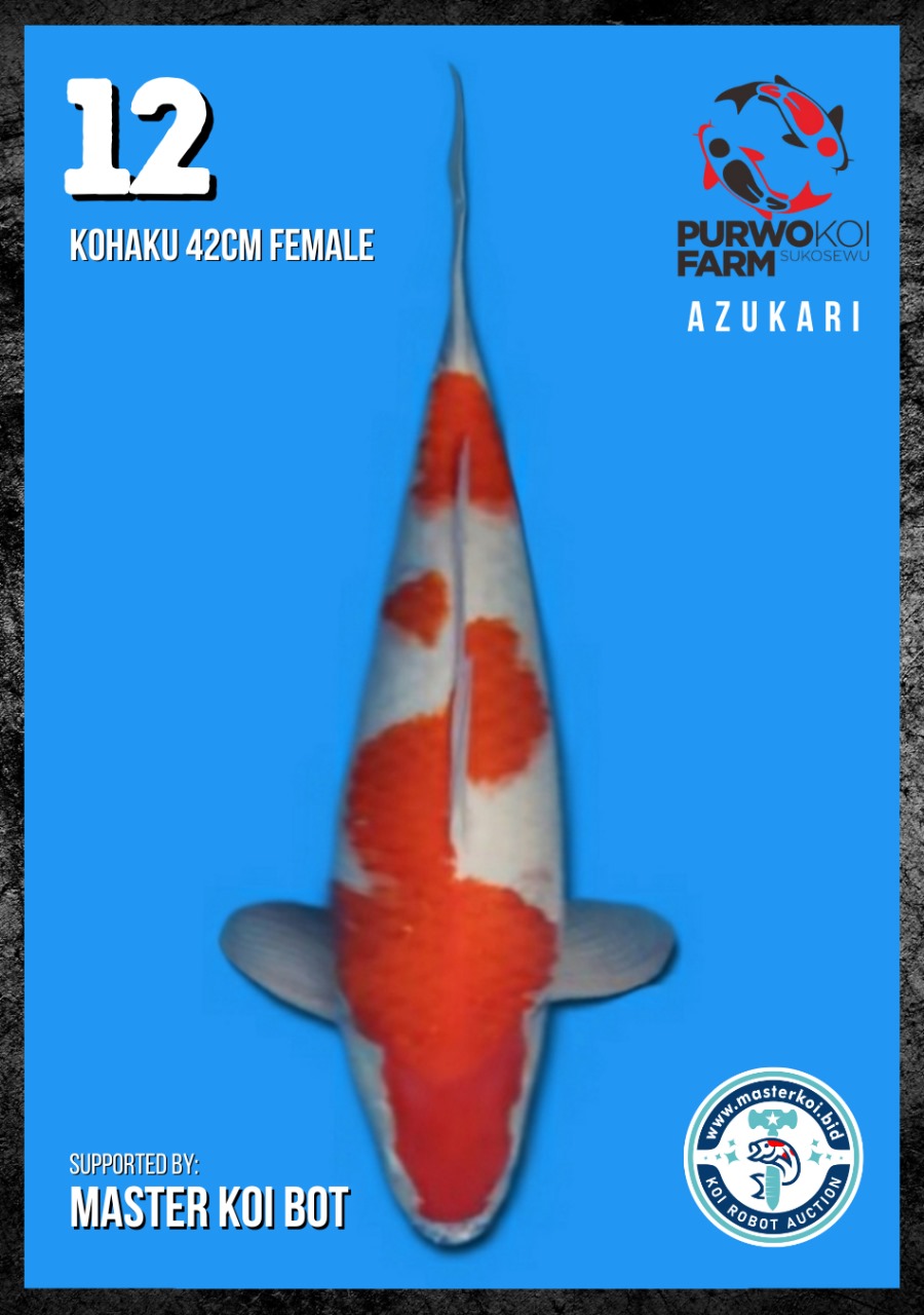 Lelang Koi Online, Jual Beli Ikan Koi, Pusat Jual Beli Koi, Info Lelang Koi Hari Ini, Platform Jual Beli Koi, Jual Beli Ikan Koi Online, Marketplace Ikan Koi, Jual Koi Terbaik, Tempat Beli Koi Berkualitas, Pasar Ikan Koi Online Terpercaya, Penjual Ikan Koi Terpercaya, Beli Koi Hias Online, Ikan Koi untuk Dijual, Koi Kualitas Terbaik, Toko Online Ikan Koi, Koi Hias Untuk Dijual, Jual Beli Ikan Koi Lokal, Koi Indonesia Online, Pusat Jual Beli Koi Terbesar