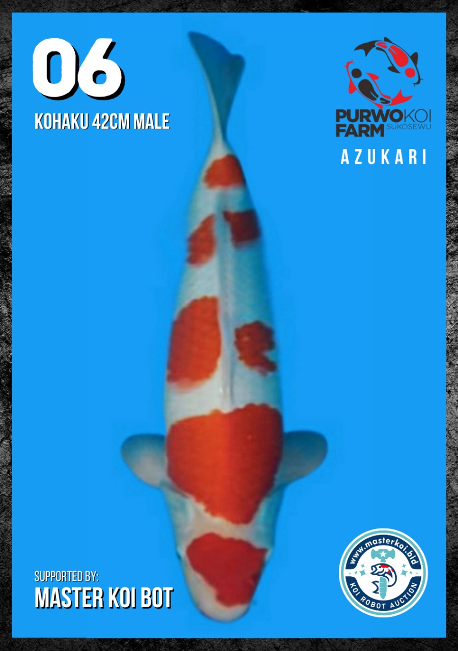 Lelang Koi Online, Jual Beli Ikan Koi, Pusat Jual Beli Koi, Info Lelang Koi Hari Ini, Platform Jual Beli Koi, Jual Beli Ikan Koi Online, Marketplace Ikan Koi, Jual Koi Terbaik, Tempat Beli Koi Berkualitas, Pasar Ikan Koi Online Terpercaya, Penjual Ikan Koi Terpercaya, Beli Koi Hias Online, Ikan Koi untuk Dijual, Koi Kualitas Terbaik, Toko Online Ikan Koi, Koi Hias Untuk Dijual, Jual Beli Ikan Koi Lokal, Koi Indonesia Online, Pusat Jual Beli Koi Terbesar