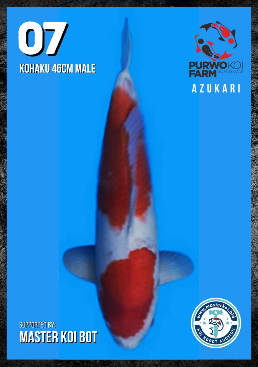 Lelang Koi Online, Jual Beli Ikan Koi, Pusat Jual Beli Koi, Info Lelang Koi Hari Ini, Platform Jual Beli Koi, Jual Beli Ikan Koi Online, Marketplace Ikan Koi, Jual Koi Terbaik, Tempat Beli Koi Berkualitas, Pasar Ikan Koi Online Terpercaya, Penjual Ikan Koi Terpercaya, Beli Koi Hias Online, Ikan Koi untuk Dijual, Koi Kualitas Terbaik, Toko Online Ikan Koi, Koi Hias Untuk Dijual, Jual Beli Ikan Koi Lokal, Koi Indonesia Online, Pusat Jual Beli Koi Terbesar