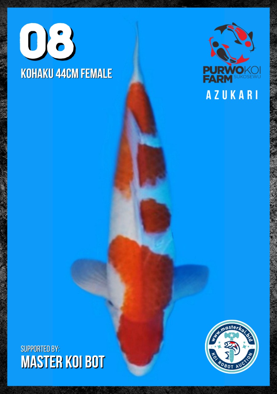 Lelang Koi Online, Jual Beli Ikan Koi, Pusat Jual Beli Koi, Info Lelang Koi Hari Ini, Platform Jual Beli Koi, Jual Beli Ikan Koi Online, Marketplace Ikan Koi, Jual Koi Terbaik, Tempat Beli Koi Berkualitas, Pasar Ikan Koi Online Terpercaya, Penjual Ikan Koi Terpercaya, Beli Koi Hias Online, Ikan Koi untuk Dijual, Koi Kualitas Terbaik, Toko Online Ikan Koi, Koi Hias Untuk Dijual, Jual Beli Ikan Koi Lokal, Koi Indonesia Online, Pusat Jual Beli Koi Terbesar