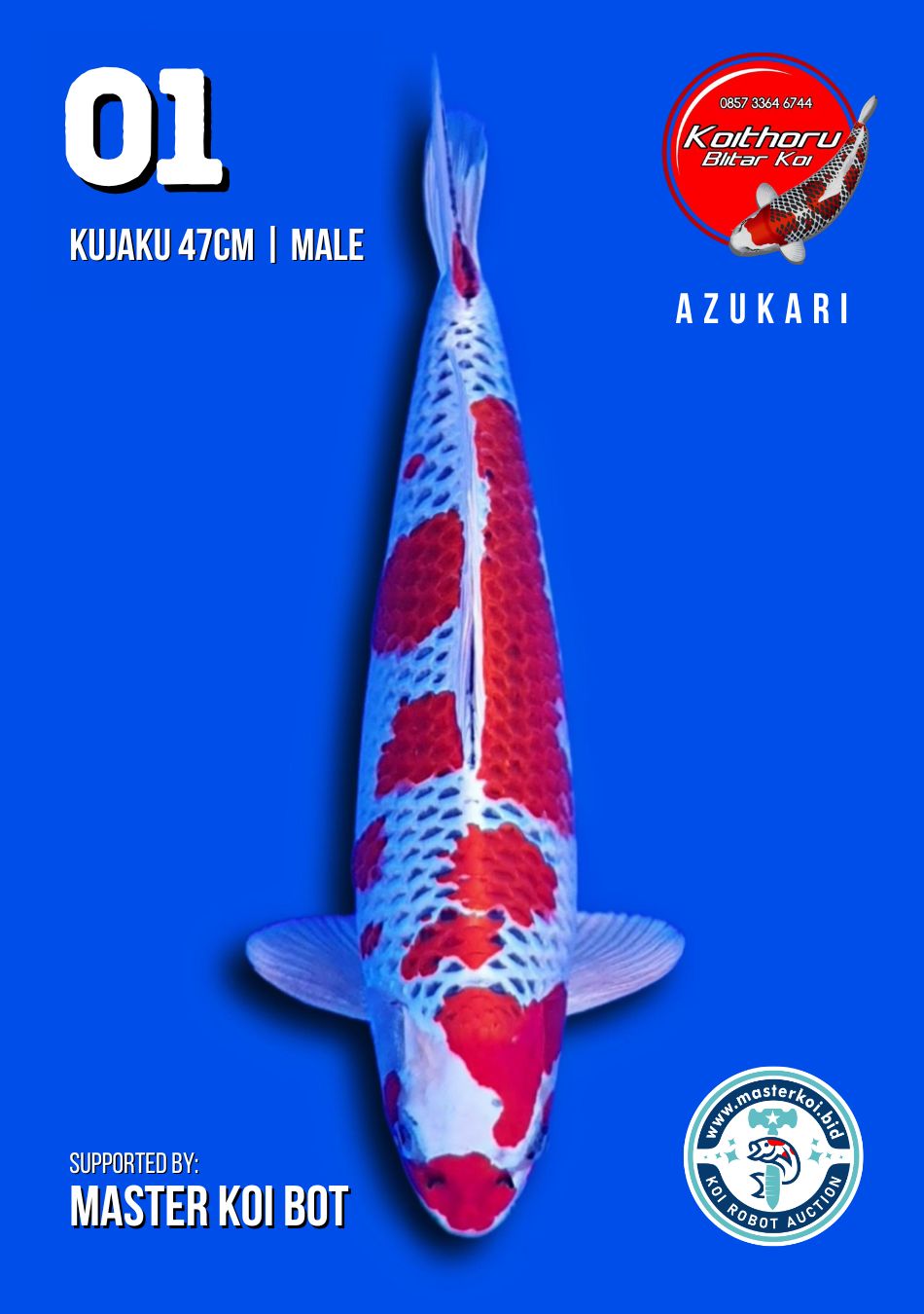Lelang Koi Online, Jual Beli Ikan Koi, Pusat Jual Beli Koi, Info Lelang Koi Hari Ini, Platform Jual Beli Koi, Jual Beli Ikan Koi Online, Marketplace Ikan Koi, Jual Koi Terbaik, Tempat Beli Koi Berkualitas, Pasar Ikan Koi Online Terpercaya, Penjual Ikan Koi Terpercaya, Beli Koi Hias Online, Ikan Koi untuk Dijual, Koi Kualitas Terbaik, Toko Online Ikan Koi, Koi Hias Untuk Dijual, Jual Beli Ikan Koi Lokal, Koi Indonesia Online, Pusat Jual Beli Koi Terbesar