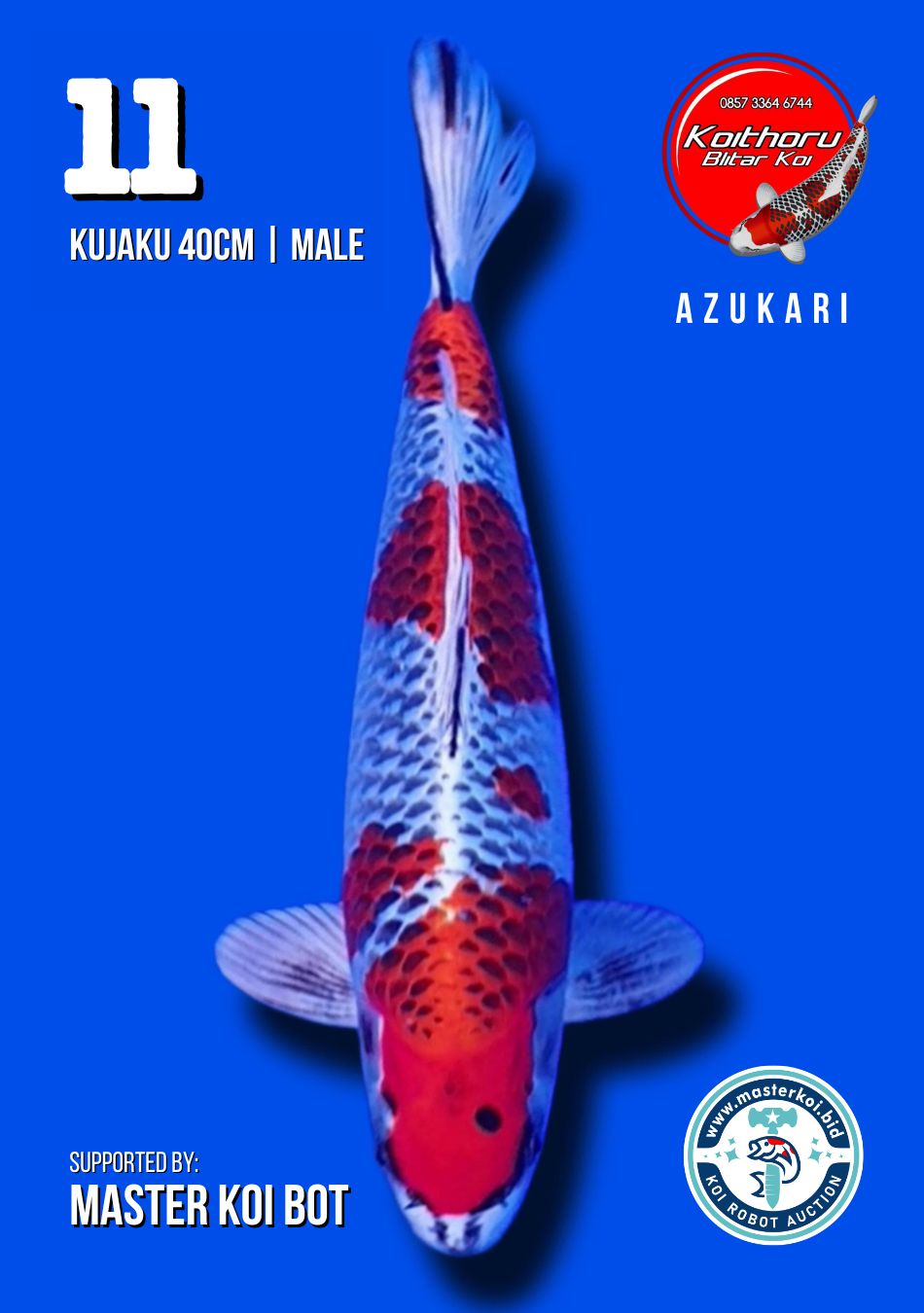 Lelang Koi Online, Jual Beli Ikan Koi, Pusat Jual Beli Koi, Info Lelang Koi Hari Ini, Platform Jual Beli Koi, Jual Beli Ikan Koi Online, Marketplace Ikan Koi, Jual Koi Terbaik, Tempat Beli Koi Berkualitas, Pasar Ikan Koi Online Terpercaya, Penjual Ikan Koi Terpercaya, Beli Koi Hias Online, Ikan Koi untuk Dijual, Koi Kualitas Terbaik, Toko Online Ikan Koi, Koi Hias Untuk Dijual, Jual Beli Ikan Koi Lokal, Koi Indonesia Online, Pusat Jual Beli Koi Terbesar