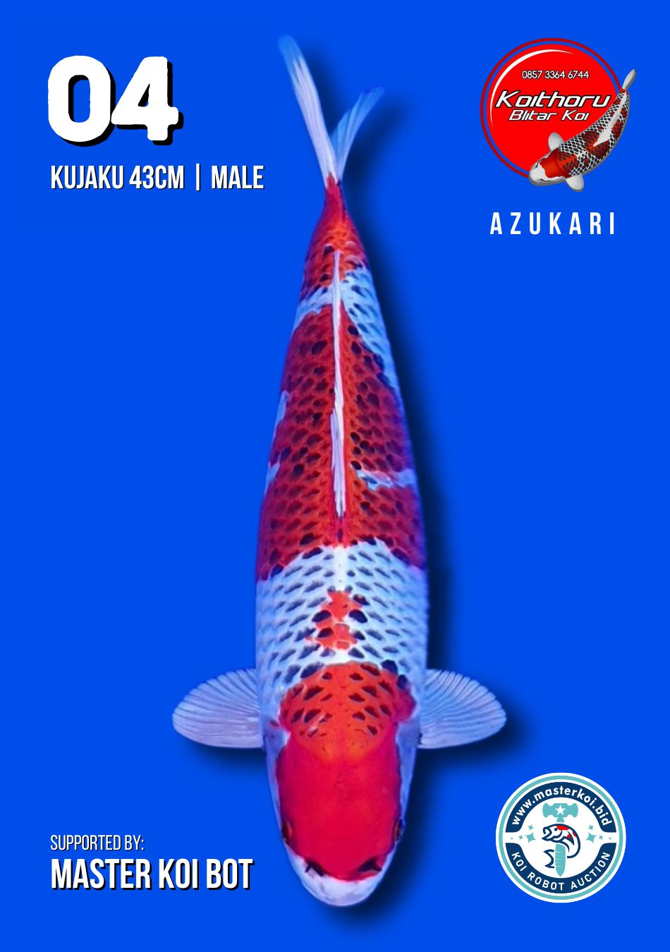 Lelang Koi Online, Jual Beli Ikan Koi, Pusat Jual Beli Koi, Info Lelang Koi Hari Ini, Platform Jual Beli Koi, Jual Beli Ikan Koi Online, Marketplace Ikan Koi, Jual Koi Terbaik, Tempat Beli Koi Berkualitas, Pasar Ikan Koi Online Terpercaya, Penjual Ikan Koi Terpercaya, Beli Koi Hias Online, Ikan Koi untuk Dijual, Koi Kualitas Terbaik, Toko Online Ikan Koi, Koi Hias Untuk Dijual, Jual Beli Ikan Koi Lokal, Koi Indonesia Online, Pusat Jual Beli Koi Terbesar