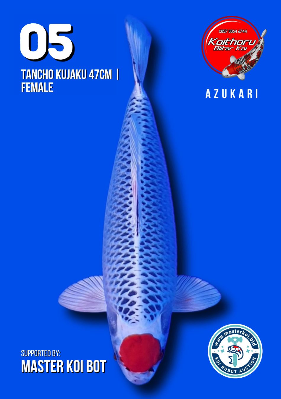 Lelang Koi Online, Jual Beli Ikan Koi, Pusat Jual Beli Koi, Info Lelang Koi Hari Ini, Platform Jual Beli Koi, Jual Beli Ikan Koi Online, Marketplace Ikan Koi, Jual Koi Terbaik, Tempat Beli Koi Berkualitas, Pasar Ikan Koi Online Terpercaya, Penjual Ikan Koi Terpercaya, Beli Koi Hias Online, Ikan Koi untuk Dijual, Koi Kualitas Terbaik, Toko Online Ikan Koi, Koi Hias Untuk Dijual, Jual Beli Ikan Koi Lokal, Koi Indonesia Online, Pusat Jual Beli Koi Terbesar