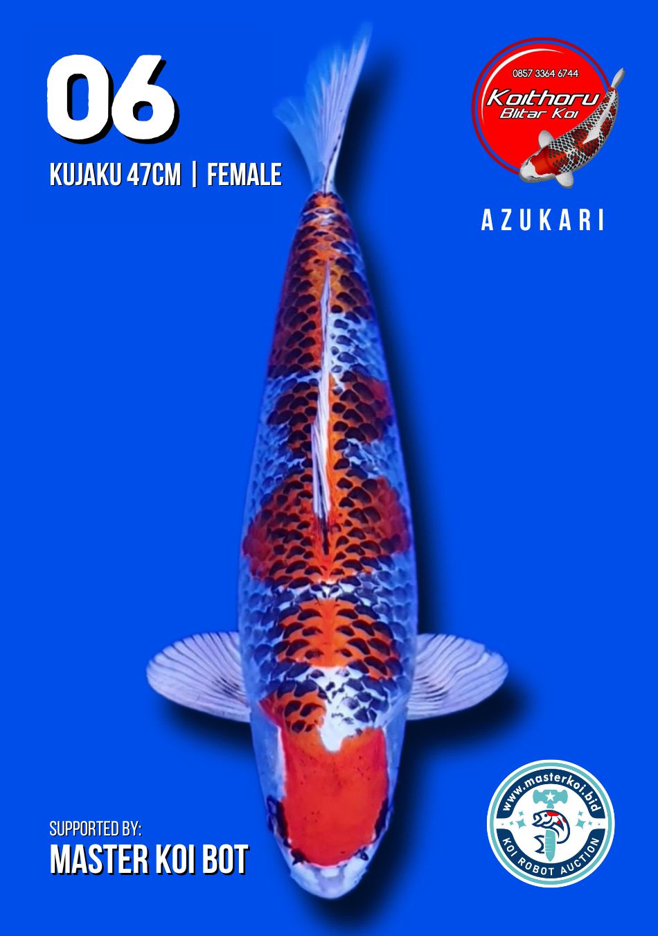 Lelang Koi Online, Jual Beli Ikan Koi, Pusat Jual Beli Koi, Info Lelang Koi Hari Ini, Platform Jual Beli Koi, Jual Beli Ikan Koi Online, Marketplace Ikan Koi, Jual Koi Terbaik, Tempat Beli Koi Berkualitas, Pasar Ikan Koi Online Terpercaya, Penjual Ikan Koi Terpercaya, Beli Koi Hias Online, Ikan Koi untuk Dijual, Koi Kualitas Terbaik, Toko Online Ikan Koi, Koi Hias Untuk Dijual, Jual Beli Ikan Koi Lokal, Koi Indonesia Online, Pusat Jual Beli Koi Terbesar