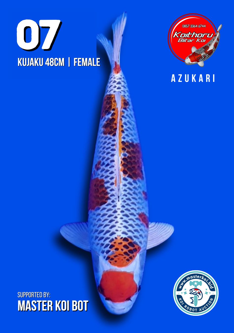 Lelang Koi Online, Jual Beli Ikan Koi, Pusat Jual Beli Koi, Info Lelang Koi Hari Ini, Platform Jual Beli Koi, Jual Beli Ikan Koi Online, Marketplace Ikan Koi, Jual Koi Terbaik, Tempat Beli Koi Berkualitas, Pasar Ikan Koi Online Terpercaya, Penjual Ikan Koi Terpercaya, Beli Koi Hias Online, Ikan Koi untuk Dijual, Koi Kualitas Terbaik, Toko Online Ikan Koi, Koi Hias Untuk Dijual, Jual Beli Ikan Koi Lokal, Koi Indonesia Online, Pusat Jual Beli Koi Terbesar