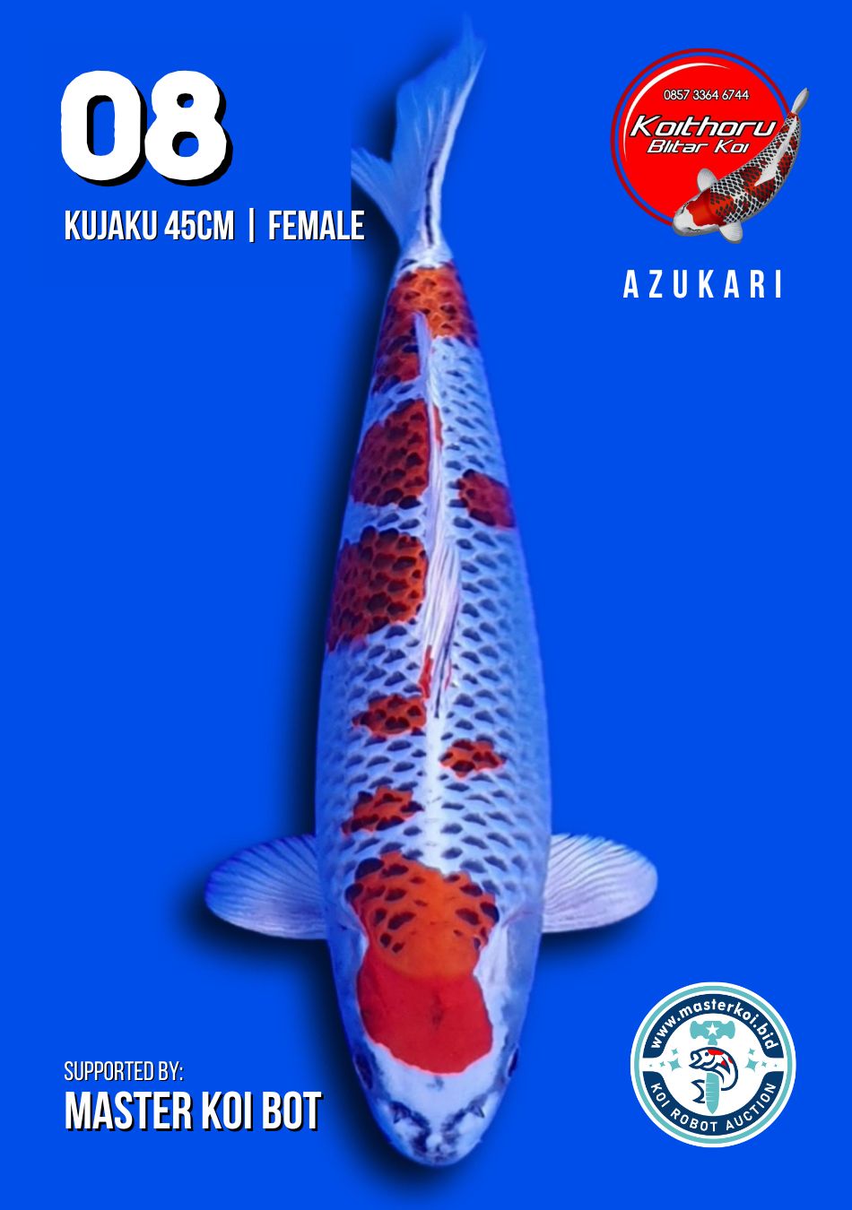Lelang Koi Online, Jual Beli Ikan Koi, Pusat Jual Beli Koi, Info Lelang Koi Hari Ini, Platform Jual Beli Koi, Jual Beli Ikan Koi Online, Marketplace Ikan Koi, Jual Koi Terbaik, Tempat Beli Koi Berkualitas, Pasar Ikan Koi Online Terpercaya, Penjual Ikan Koi Terpercaya, Beli Koi Hias Online, Ikan Koi untuk Dijual, Koi Kualitas Terbaik, Toko Online Ikan Koi, Koi Hias Untuk Dijual, Jual Beli Ikan Koi Lokal, Koi Indonesia Online, Pusat Jual Beli Koi Terbesar