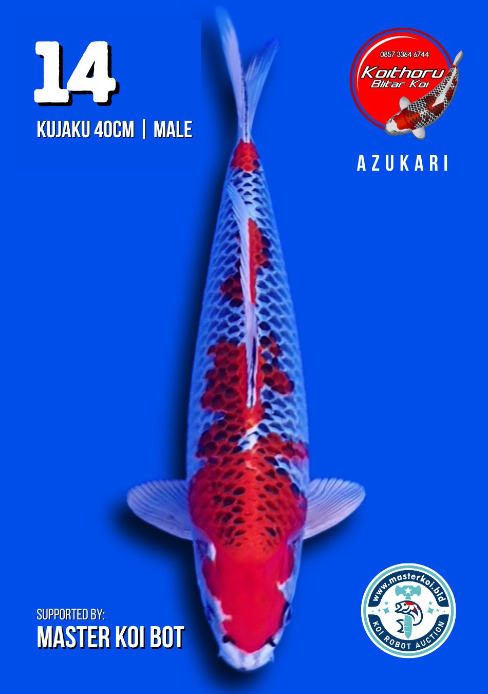 Lelang Koi Online, Jual Beli Ikan Koi, Pusat Jual Beli Koi, Info Lelang Koi Hari Ini, Platform Jual Beli Koi, Jual Beli Ikan Koi Online, Marketplace Ikan Koi, Jual Koi Terbaik, Tempat Beli Koi Berkualitas, Pasar Ikan Koi Online Terpercaya, Penjual Ikan Koi Terpercaya, Beli Koi Hias Online, Ikan Koi untuk Dijual, Koi Kualitas Terbaik, Toko Online Ikan Koi, Koi Hias Untuk Dijual, Jual Beli Ikan Koi Lokal, Koi Indonesia Online, Pusat Jual Beli Koi Terbesar