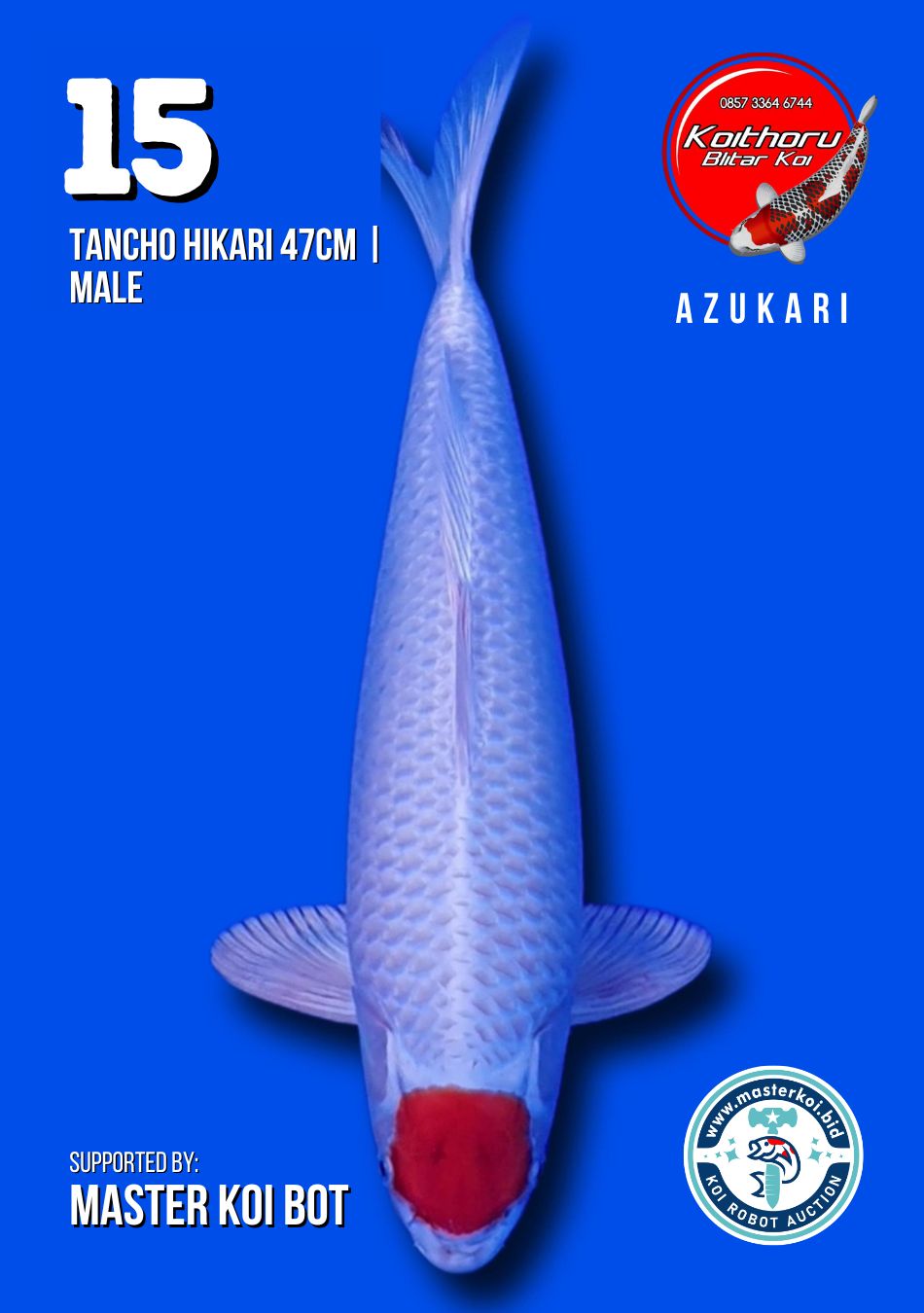 Lelang Koi Online, Jual Beli Ikan Koi, Pusat Jual Beli Koi, Info Lelang Koi Hari Ini, Platform Jual Beli Koi, Jual Beli Ikan Koi Online, Marketplace Ikan Koi, Jual Koi Terbaik, Tempat Beli Koi Berkualitas, Pasar Ikan Koi Online Terpercaya, Penjual Ikan Koi Terpercaya, Beli Koi Hias Online, Ikan Koi untuk Dijual, Koi Kualitas Terbaik, Toko Online Ikan Koi, Koi Hias Untuk Dijual, Jual Beli Ikan Koi Lokal, Koi Indonesia Online, Pusat Jual Beli Koi Terbesar