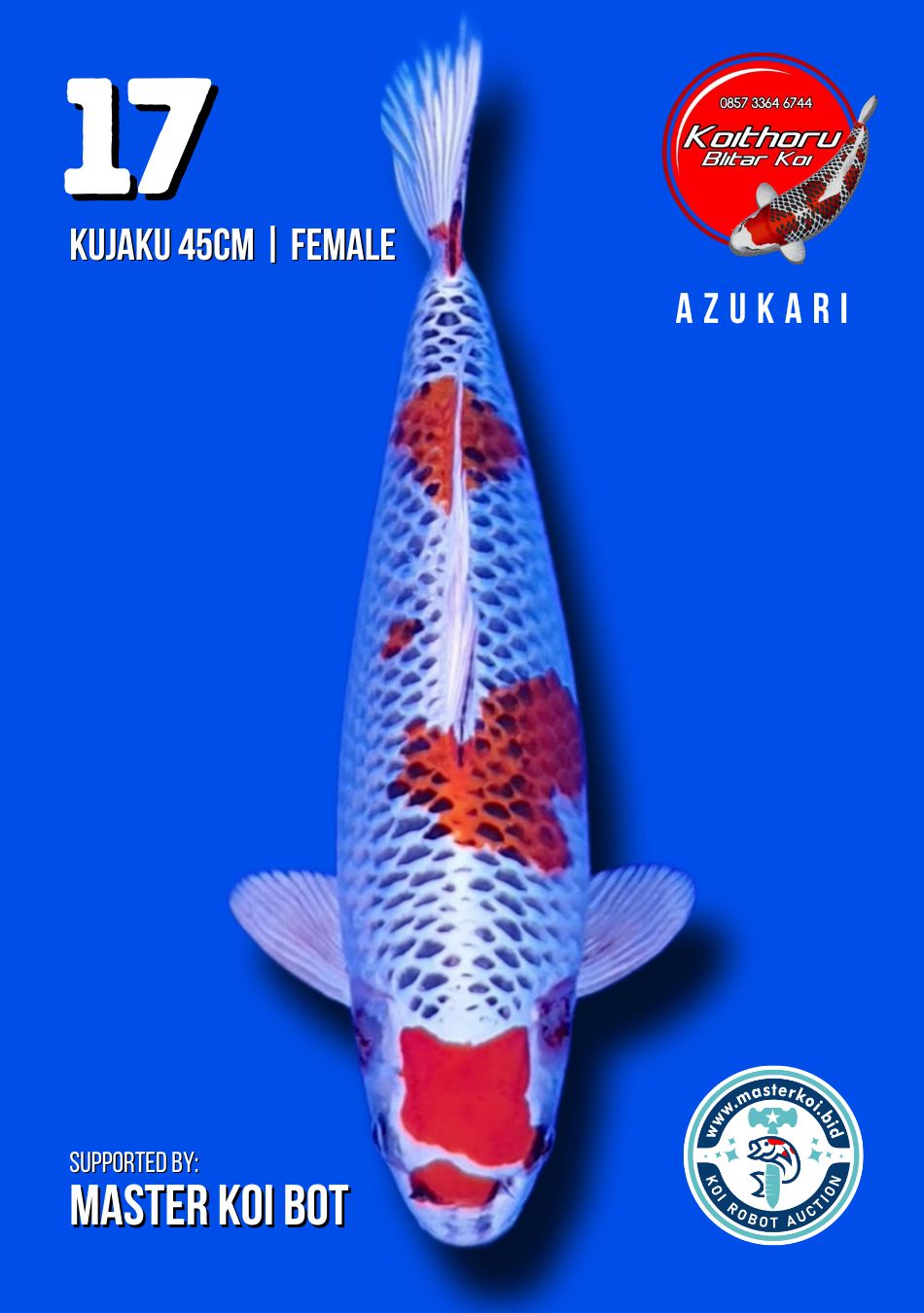 Lelang Koi Online, Jual Beli Ikan Koi, Pusat Jual Beli Koi, Info Lelang Koi Hari Ini, Platform Jual Beli Koi, Jual Beli Ikan Koi Online, Marketplace Ikan Koi, Jual Koi Terbaik, Tempat Beli Koi Berkualitas, Pasar Ikan Koi Online Terpercaya, Penjual Ikan Koi Terpercaya, Beli Koi Hias Online, Ikan Koi untuk Dijual, Koi Kualitas Terbaik, Toko Online Ikan Koi, Koi Hias Untuk Dijual, Jual Beli Ikan Koi Lokal, Koi Indonesia Online, Pusat Jual Beli Koi Terbesar